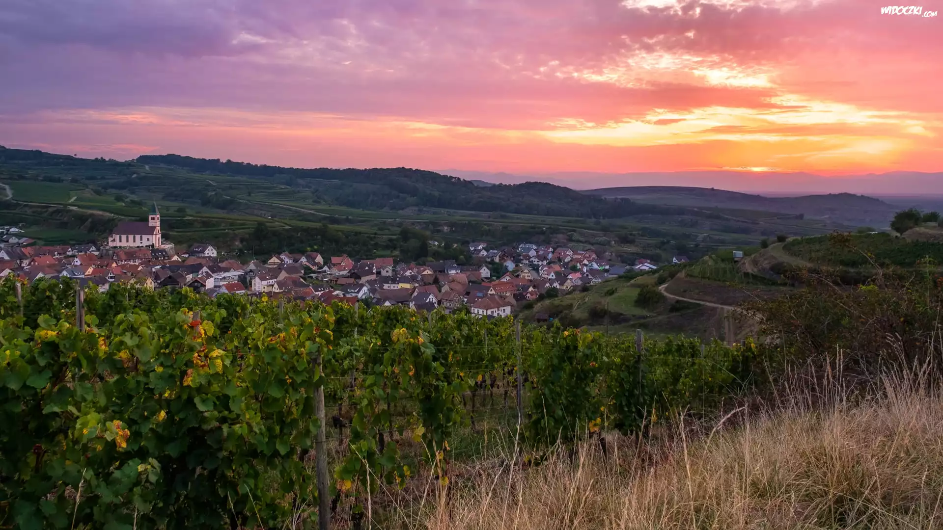 Wzgórza, Kaiserstuhl, Domy, Plantacja, Winnice, Zachód słońca,
Bahlingen, Badenia-Wirtembergia, Niemcy