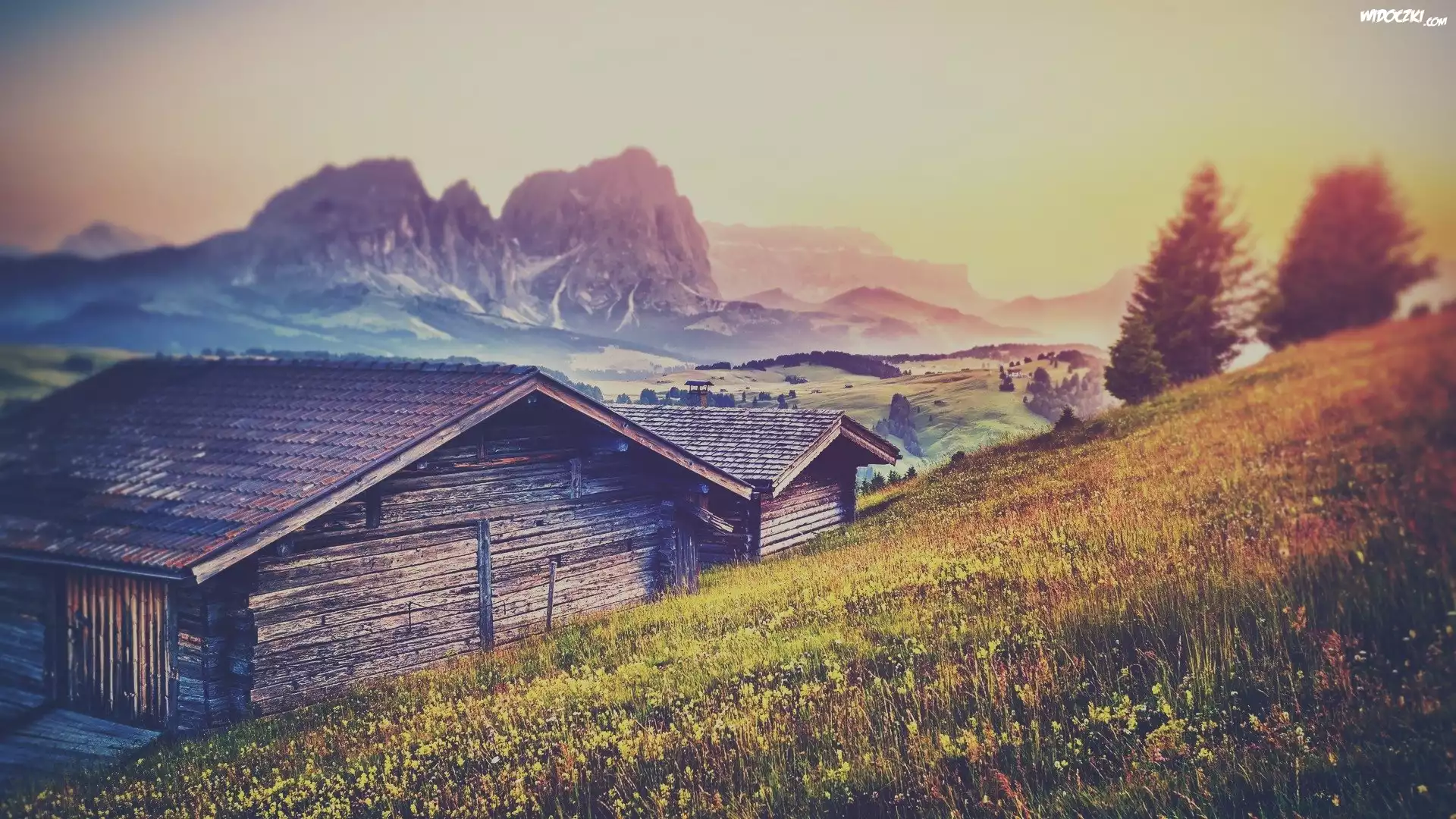 Drewniane, Domki, Łąka, Płaskowyż Seiser Alm, Dolina Val Gardena, Dolomity, Góry Sassolungo, Drzewa, Mgła, Rozmycie, Włochy