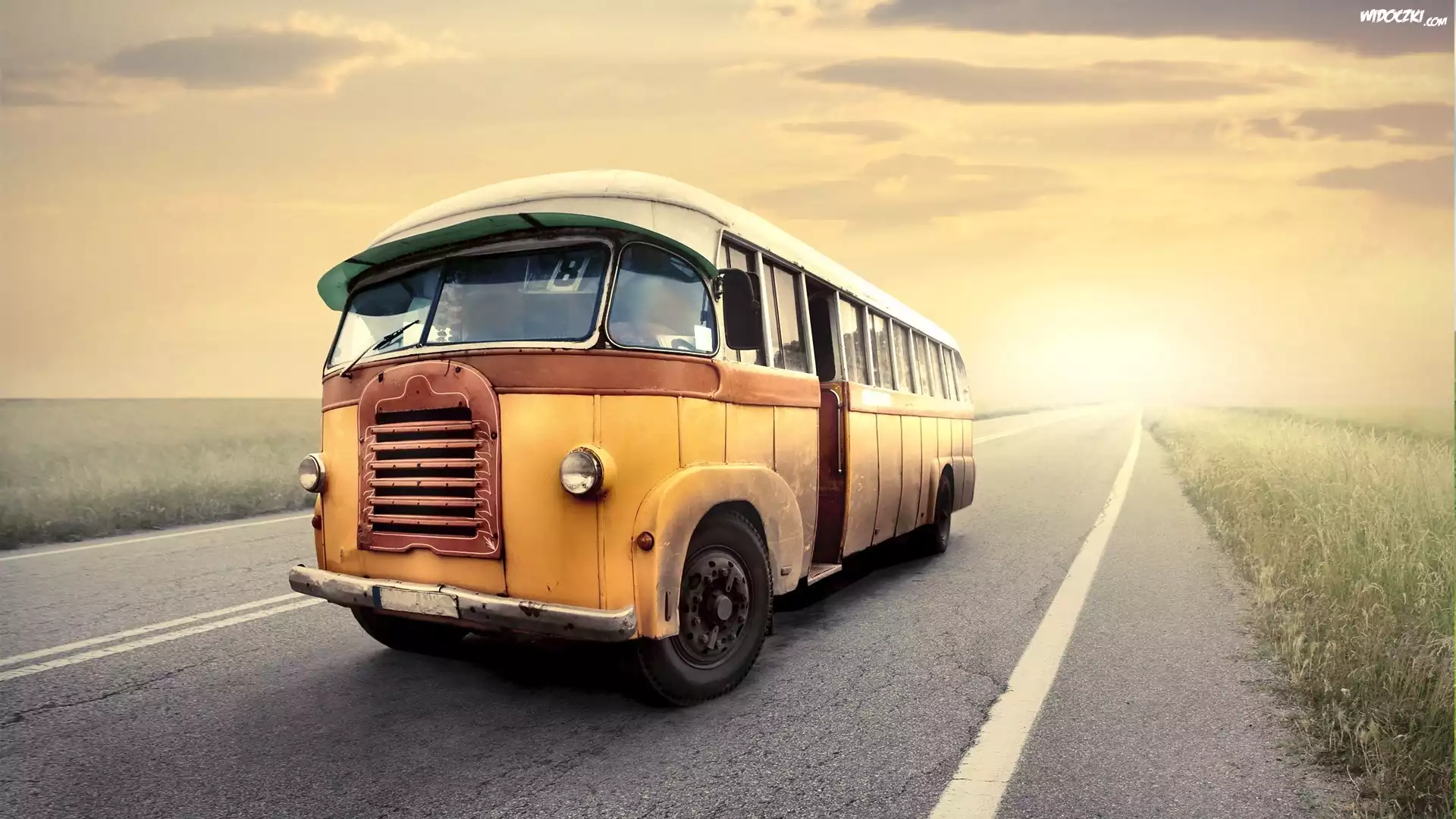 Autobus, Droga, Pola