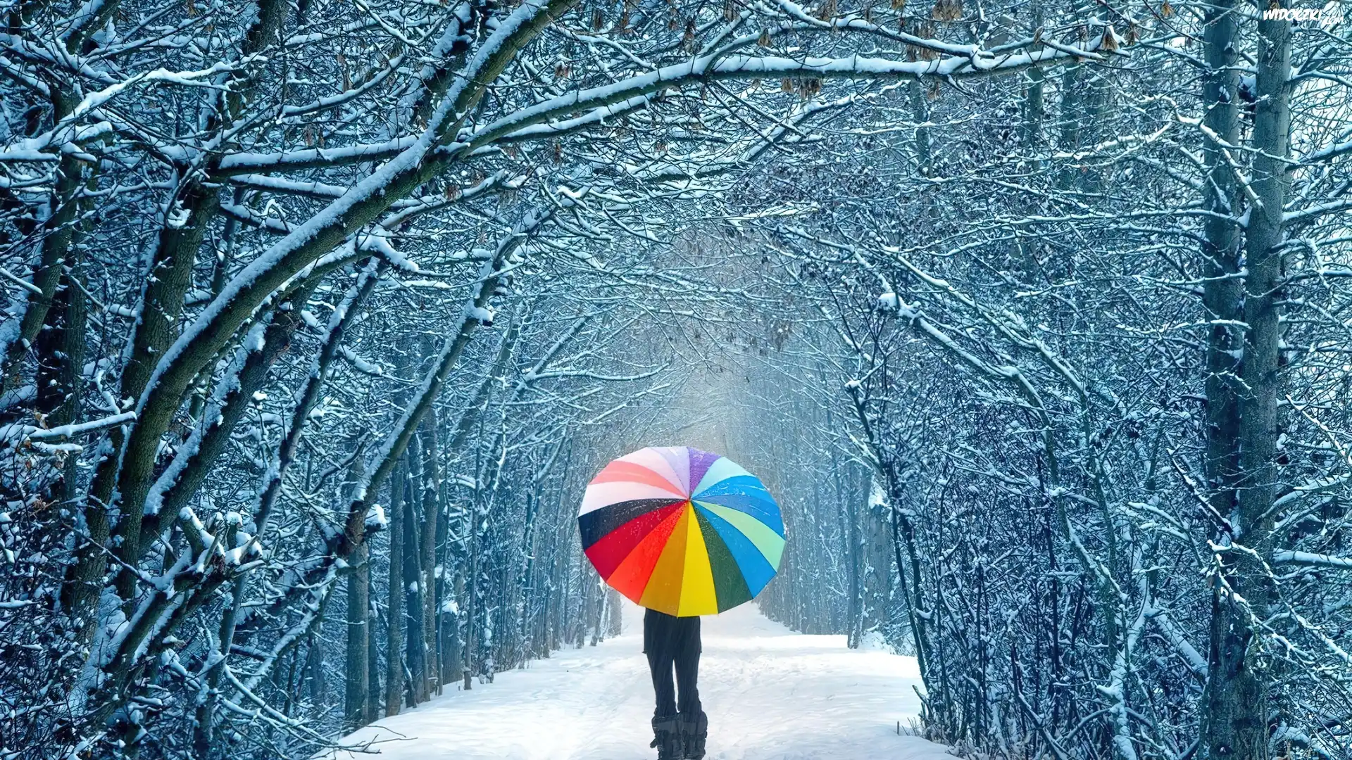 Droga, Åšnieg, Dziewczyna, Parasol