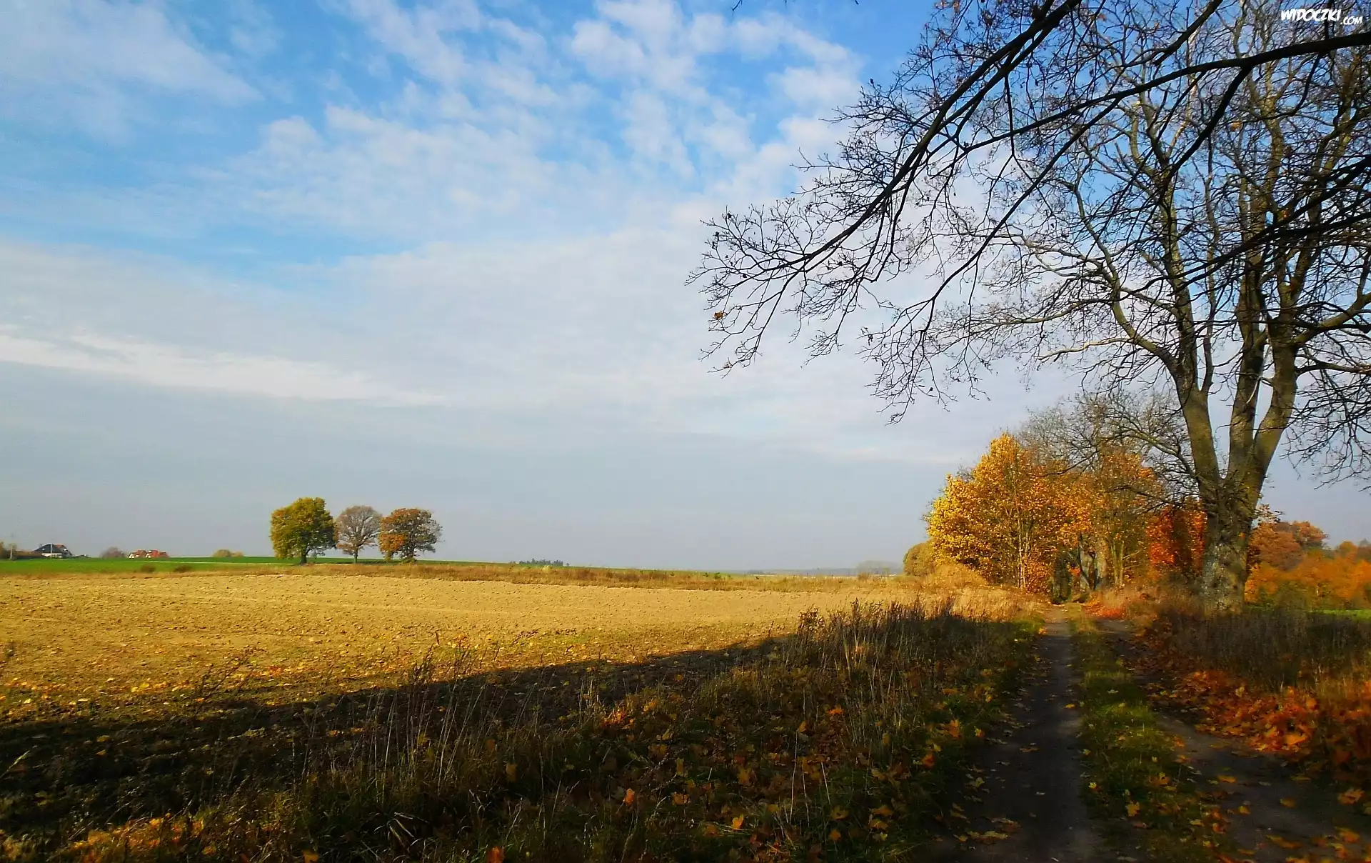 Polna, Droga, Jesień