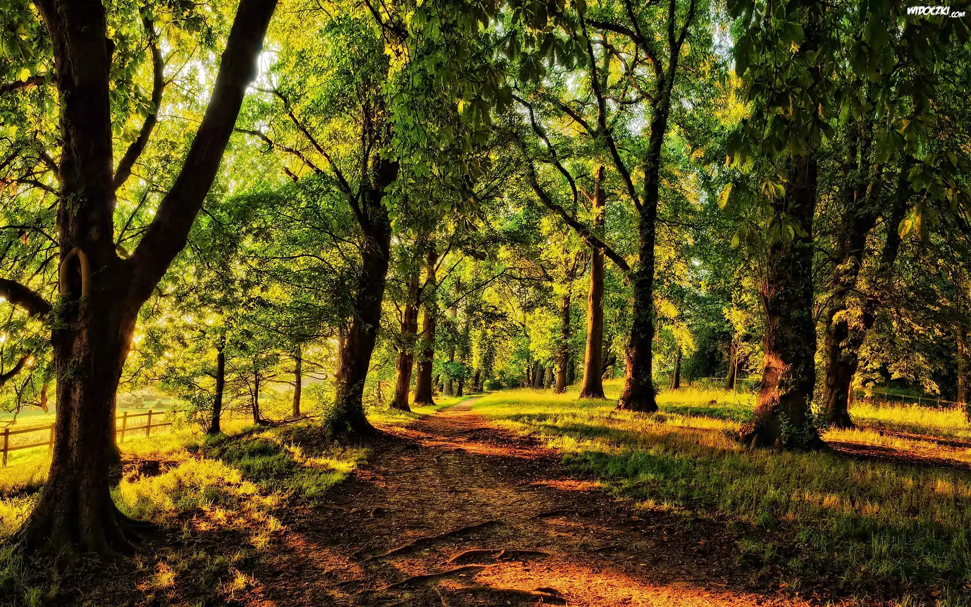 Droga, Przebijające Światło, Park
