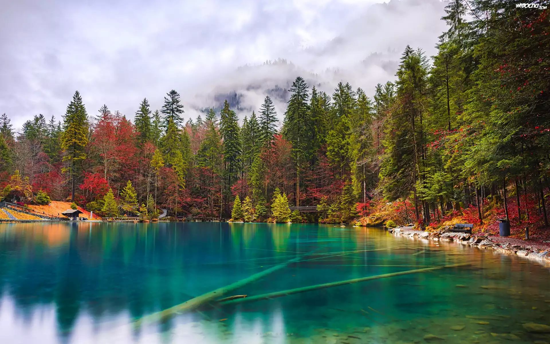 Szwajcaria, Wyżyny Berneńskie, Jezioro Blausee, Ławka, Jesień, Las, Drzewa
