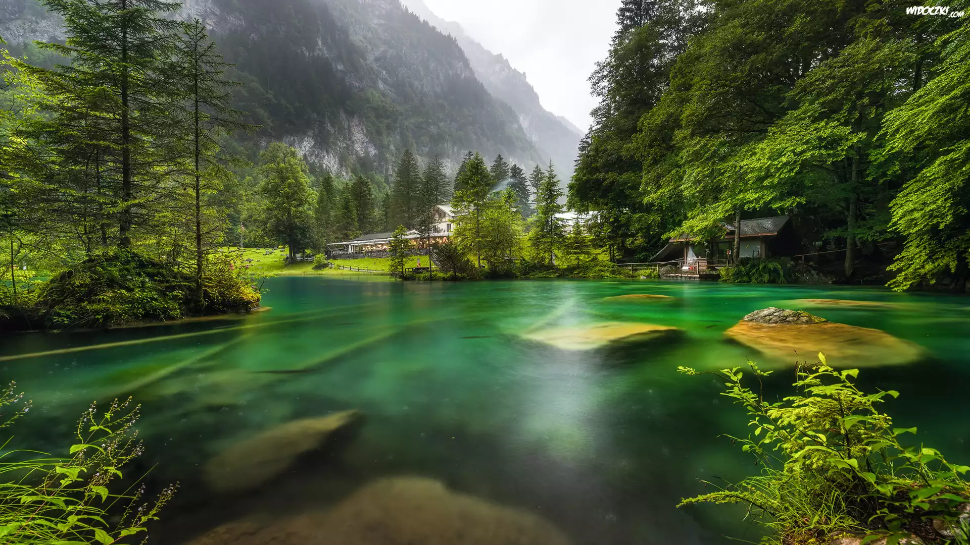 Szwajcaria, Kanton Berno, Jezioro Blausee, Góry, Domy, Kamienie, Las, Drzewa
