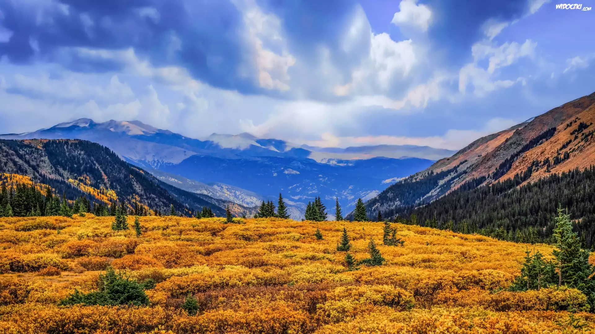 Stany Zjednoczone, Kolorado, Guanella Pass Summit, Góry, Polana, Las, Drzewa, Niebo, Chmury