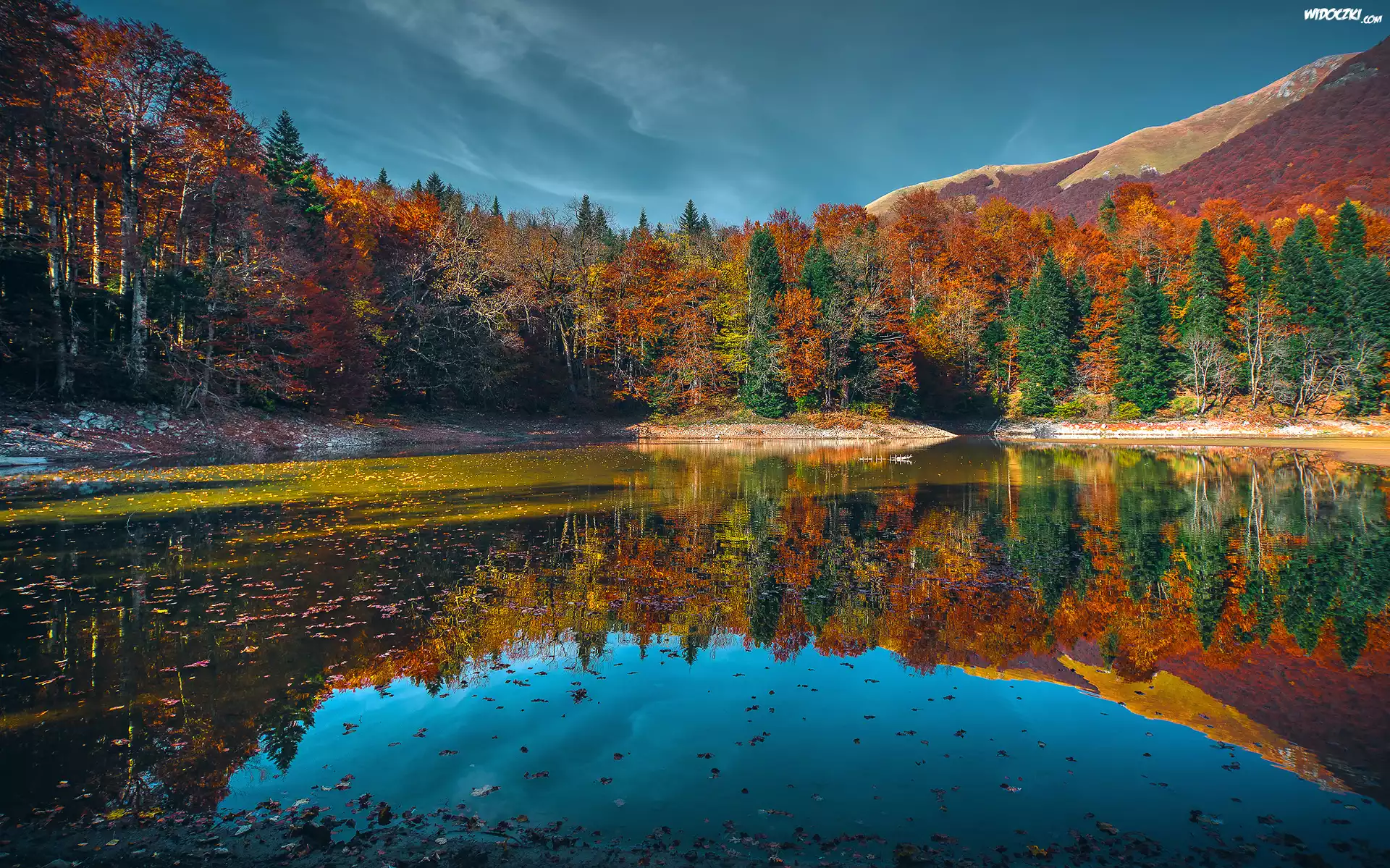 Czarnogóra, Park Narodowy Biogradska Gora, Jezioro Biograd, Las, Jesień, Drzewa