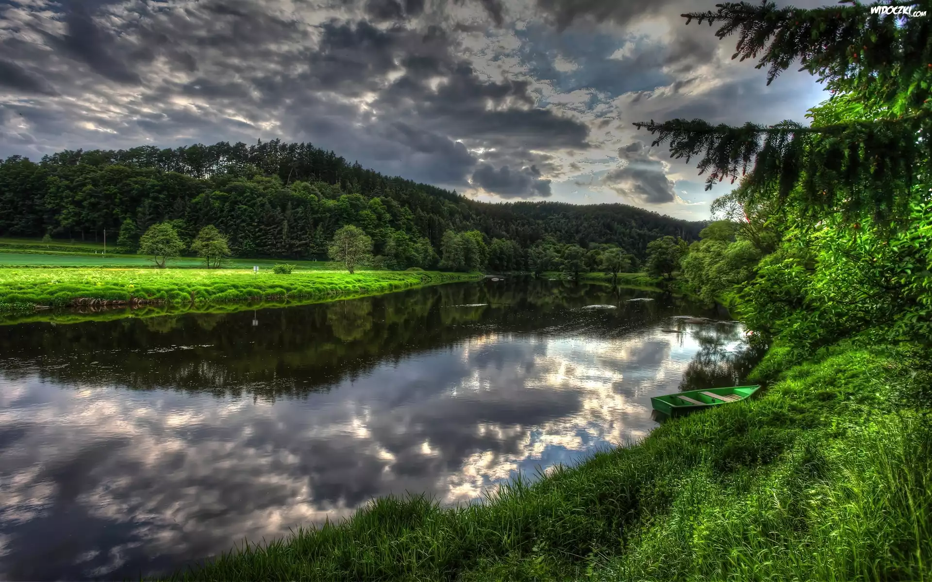 Drzewa, Jezioro