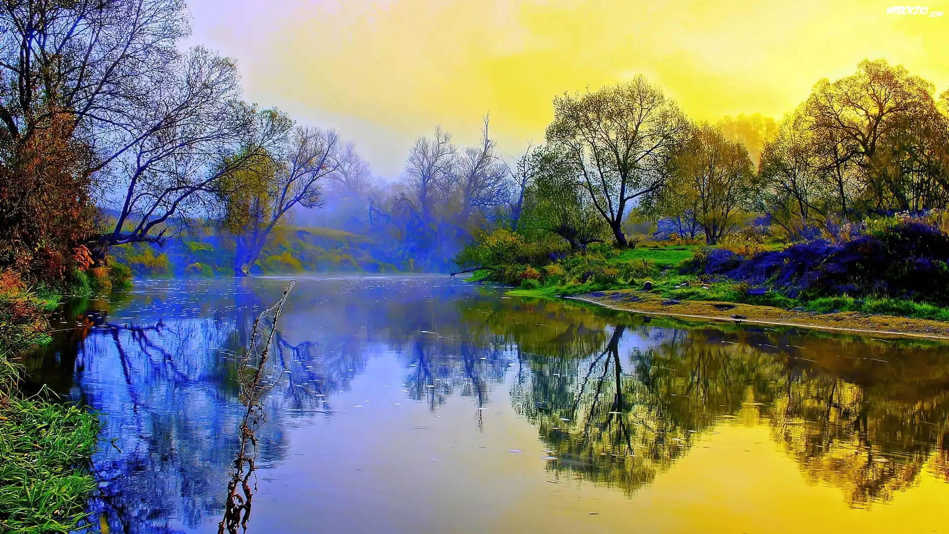 Drzewa, Jezioro