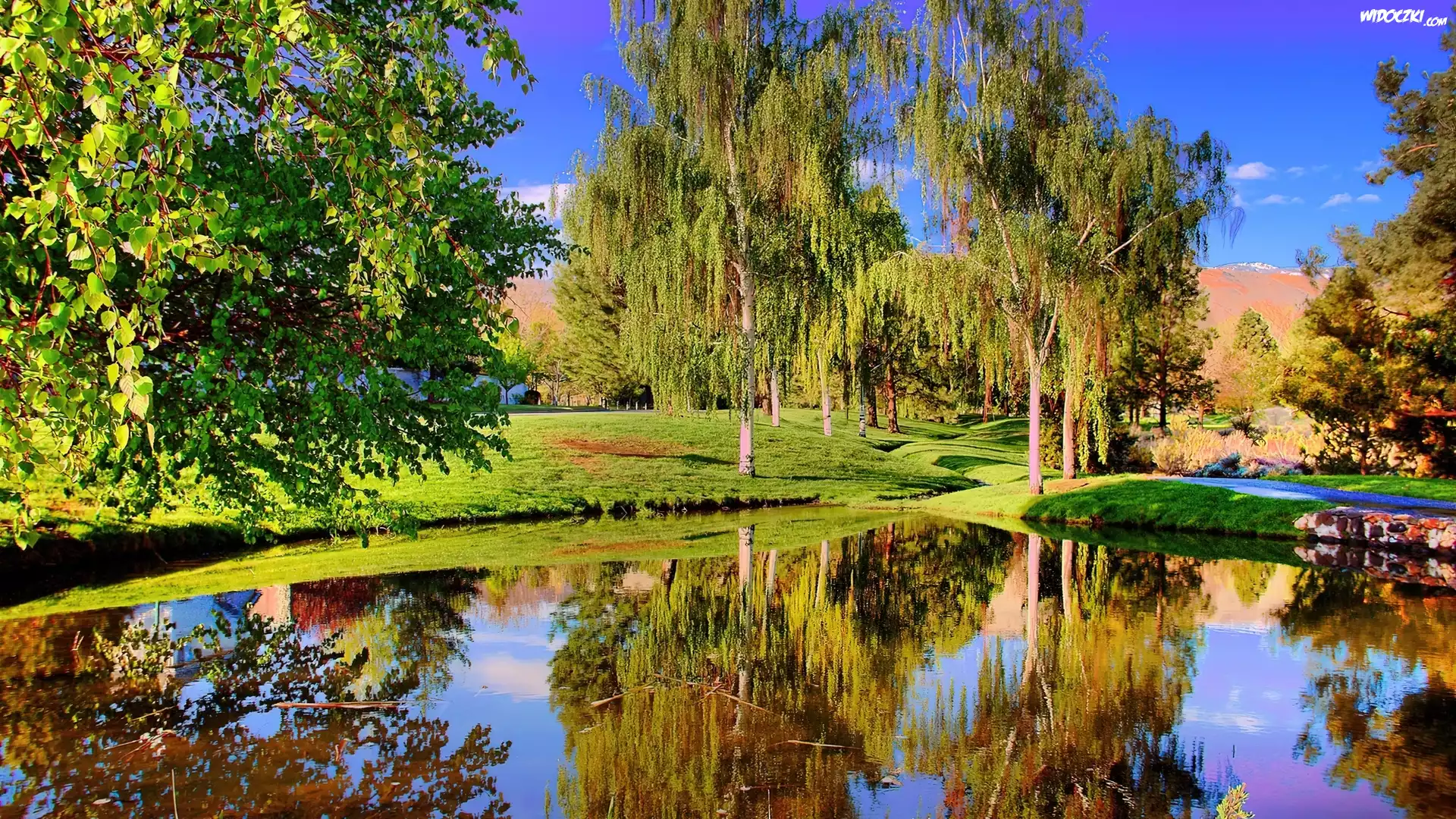 Drzewa, Jezioro