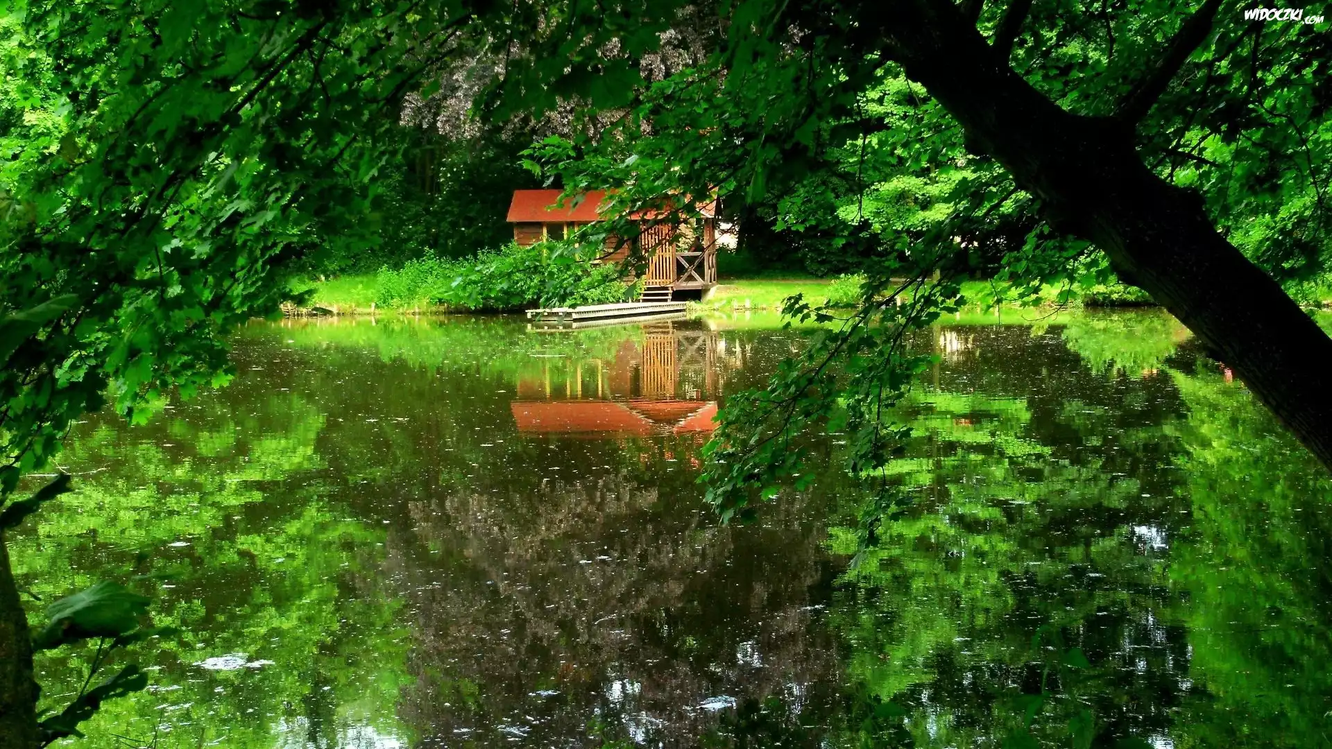 Jezioro, Drzewa, Domek