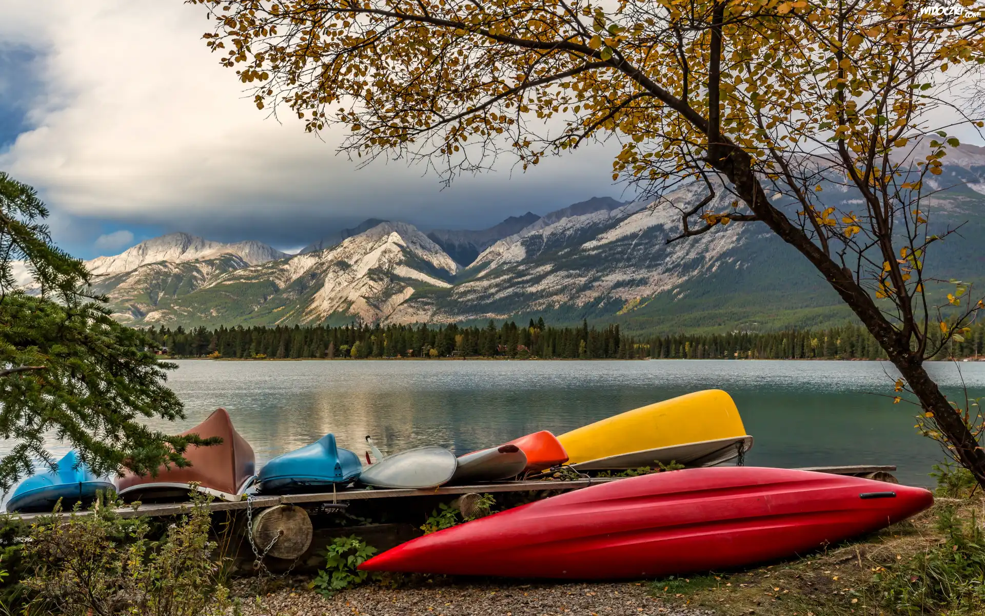 Jezioro, Edith Lake, Kolorowe, Kajaki, Drzewa, Góry, Park Narodowy Jasper, Alberta, Kanada