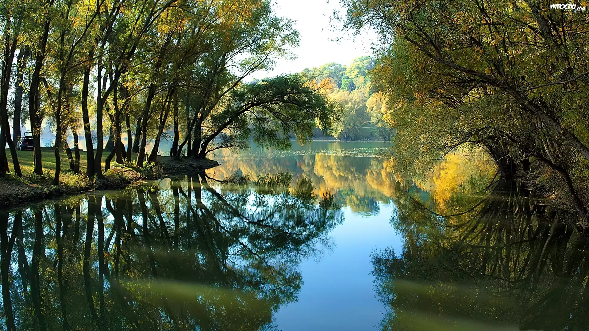 Jezioro, Drzewa, Lato