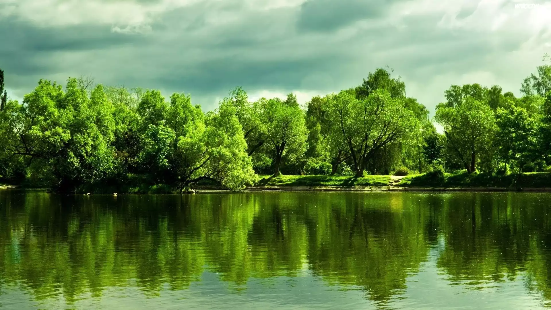 Jezioro, Drzewa, Odbicie
