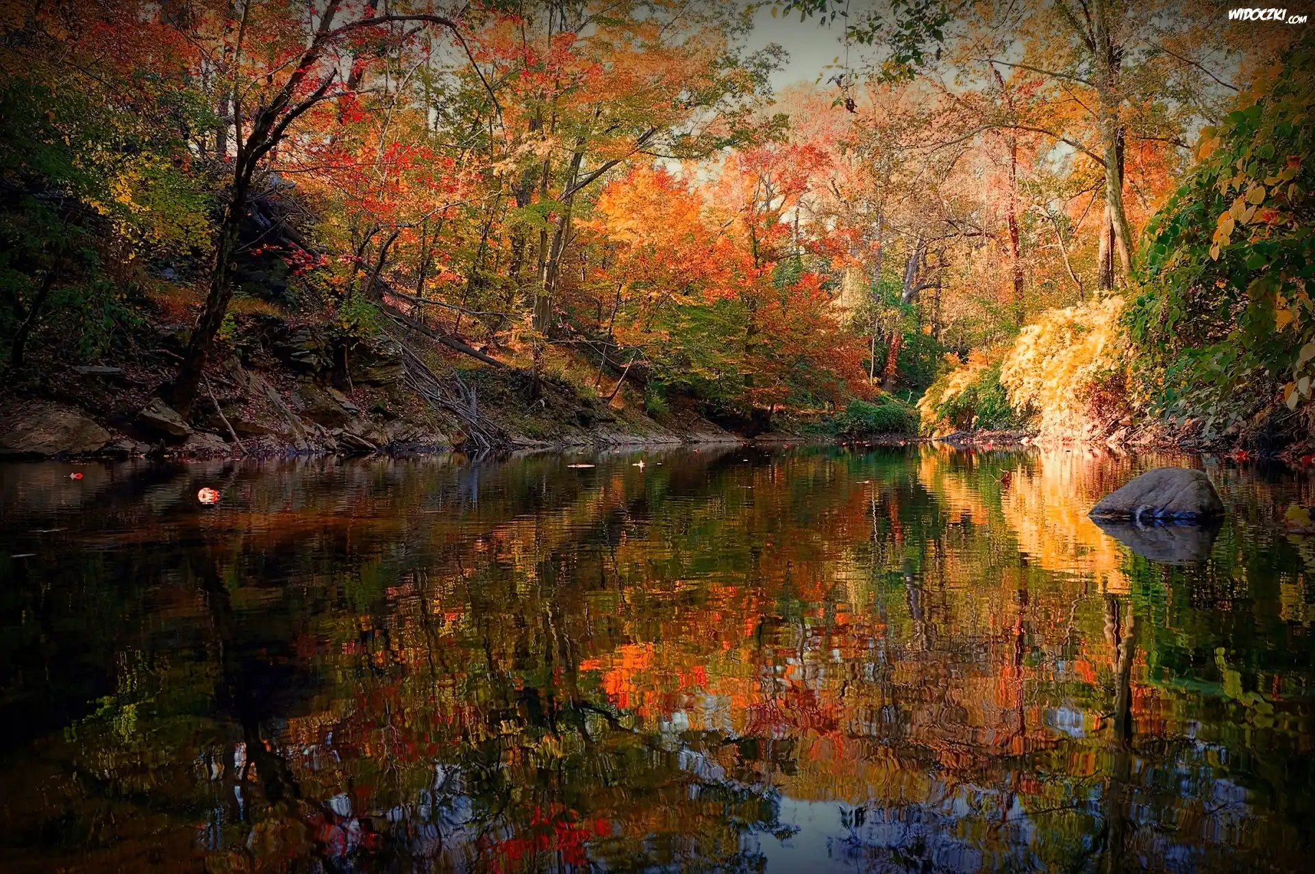 Jezioro, Drzewa, Odbicie