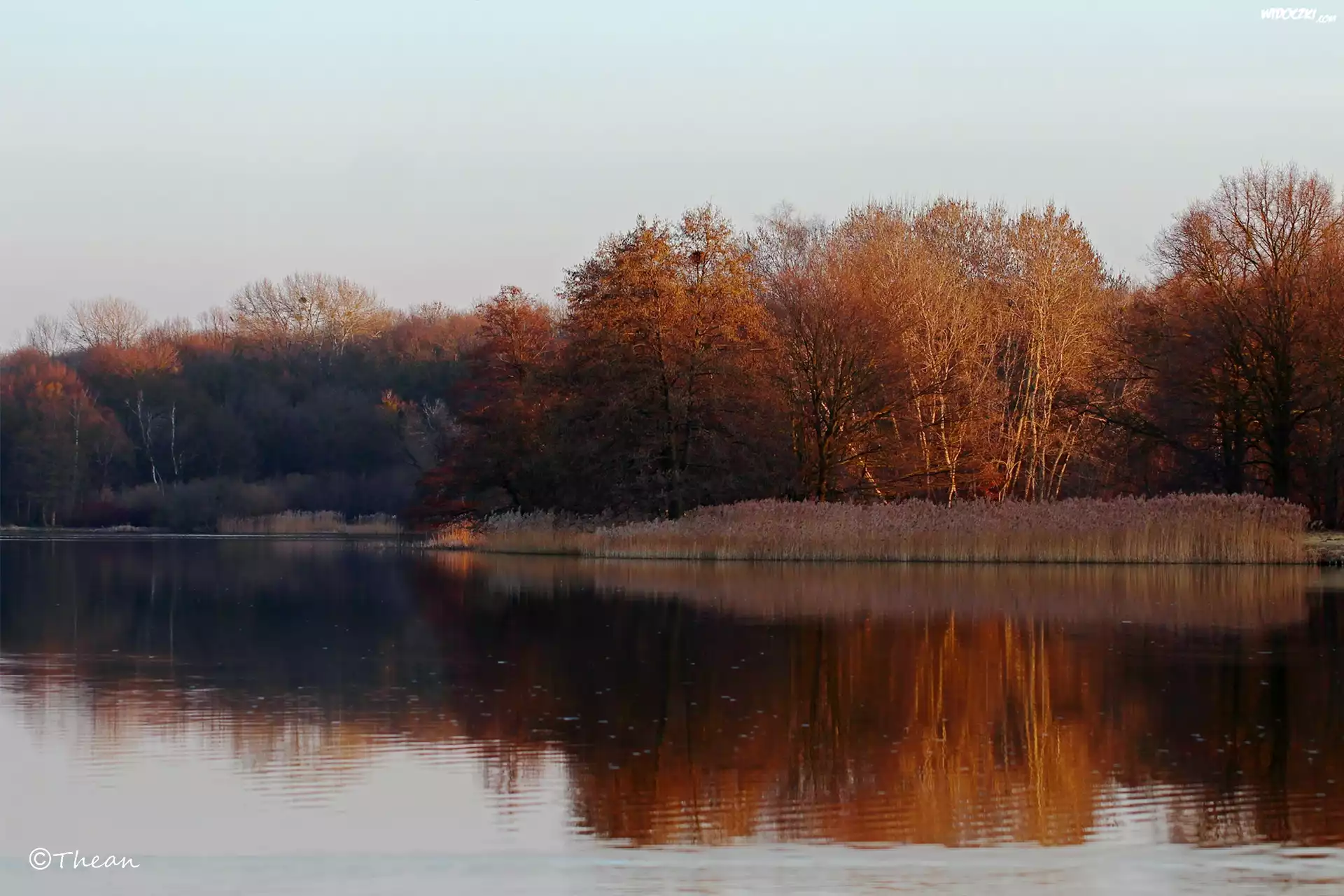 Jezioro, Drzewa, Przedwiośnie