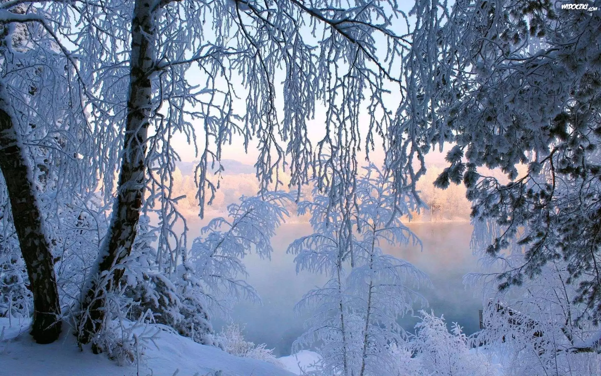 Jezioro, Drzewa, Zima