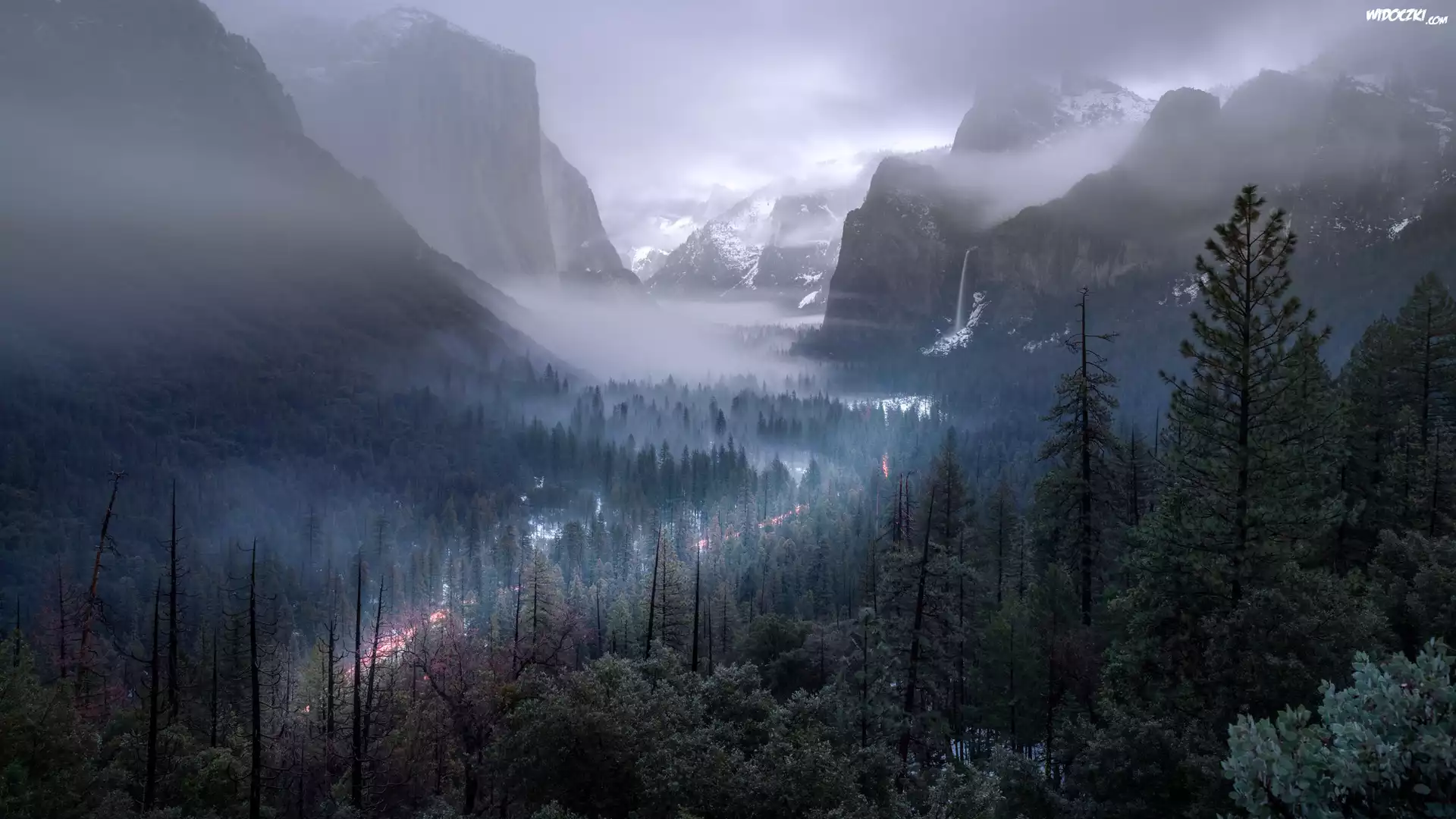 Drzewa, Góry, Mgła, Park Narodowy Yosemite, Kalifornia, Stany Zjednoczone