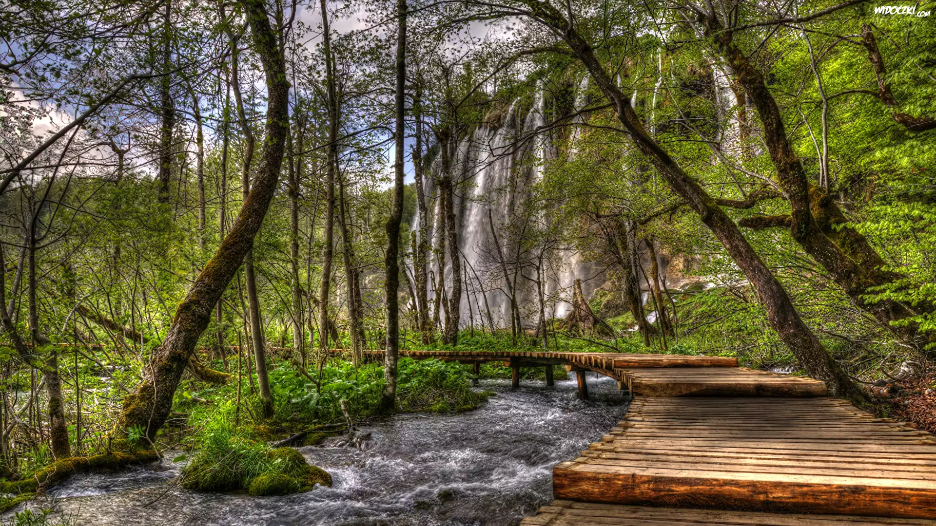 Chorwacja, Park Narodowy Jezior Plitwickich, Wodospad, Rzeka, Pomost, Drzewa