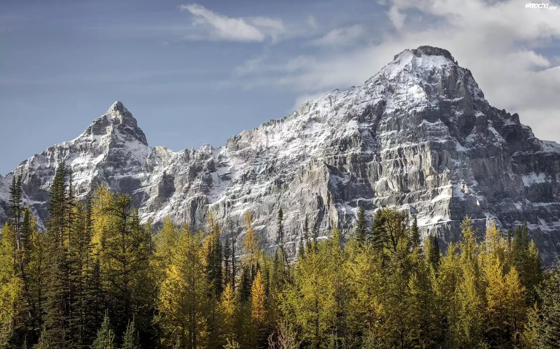 Kanada, Park Narodowy Banff, Szczyt Castle Mountain, Góry, Drzewa