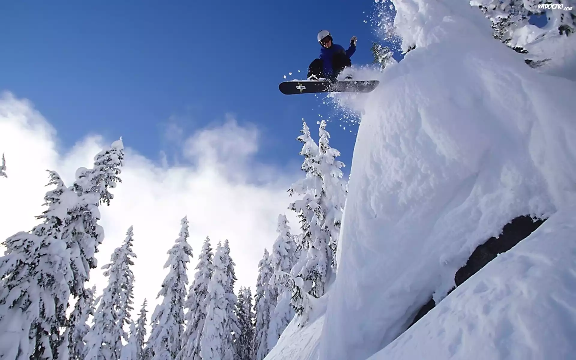 Śnieg, Drzewa, Snowboard