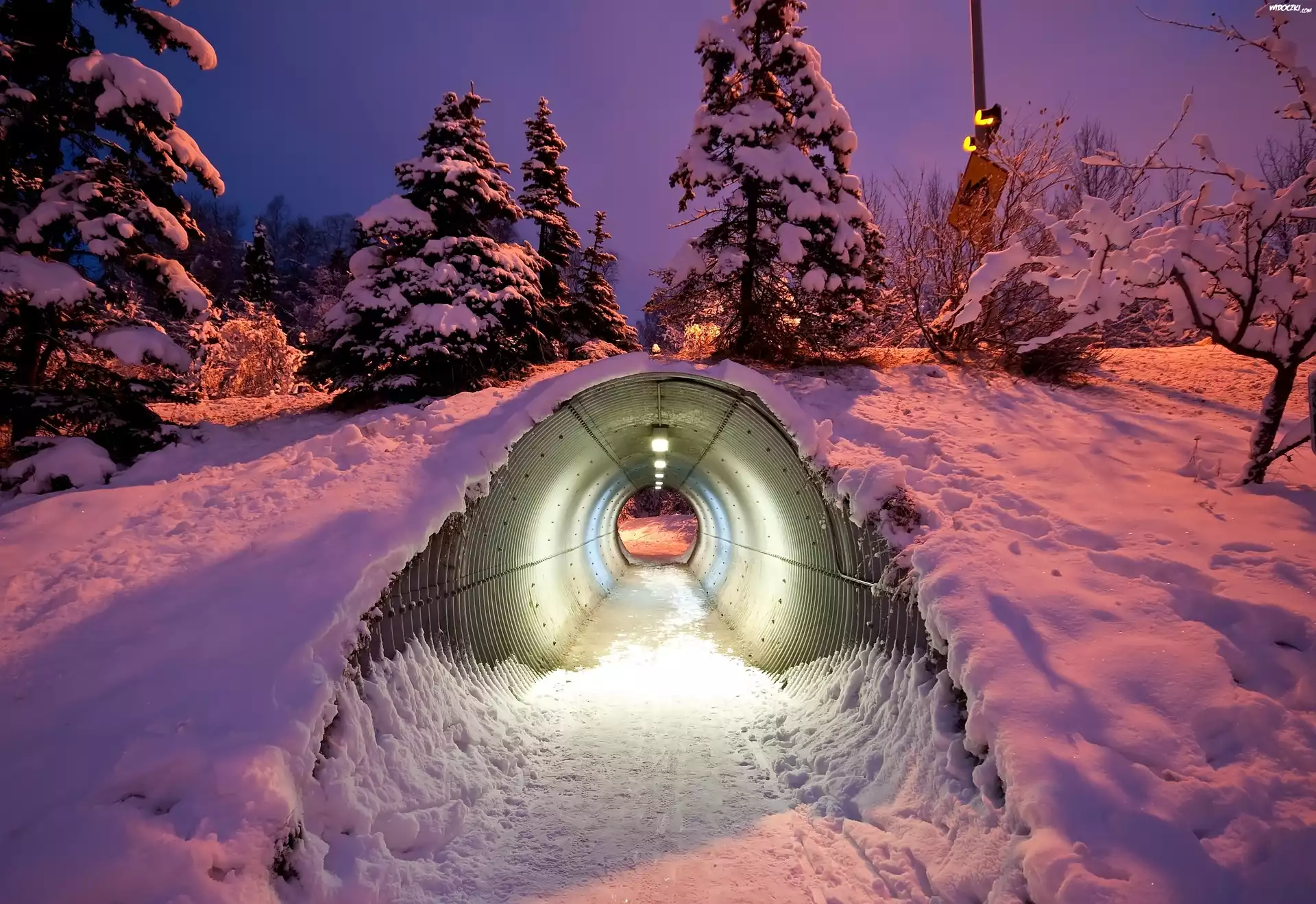 Drzewa, Tunel, Åšnieg, Zmierzch