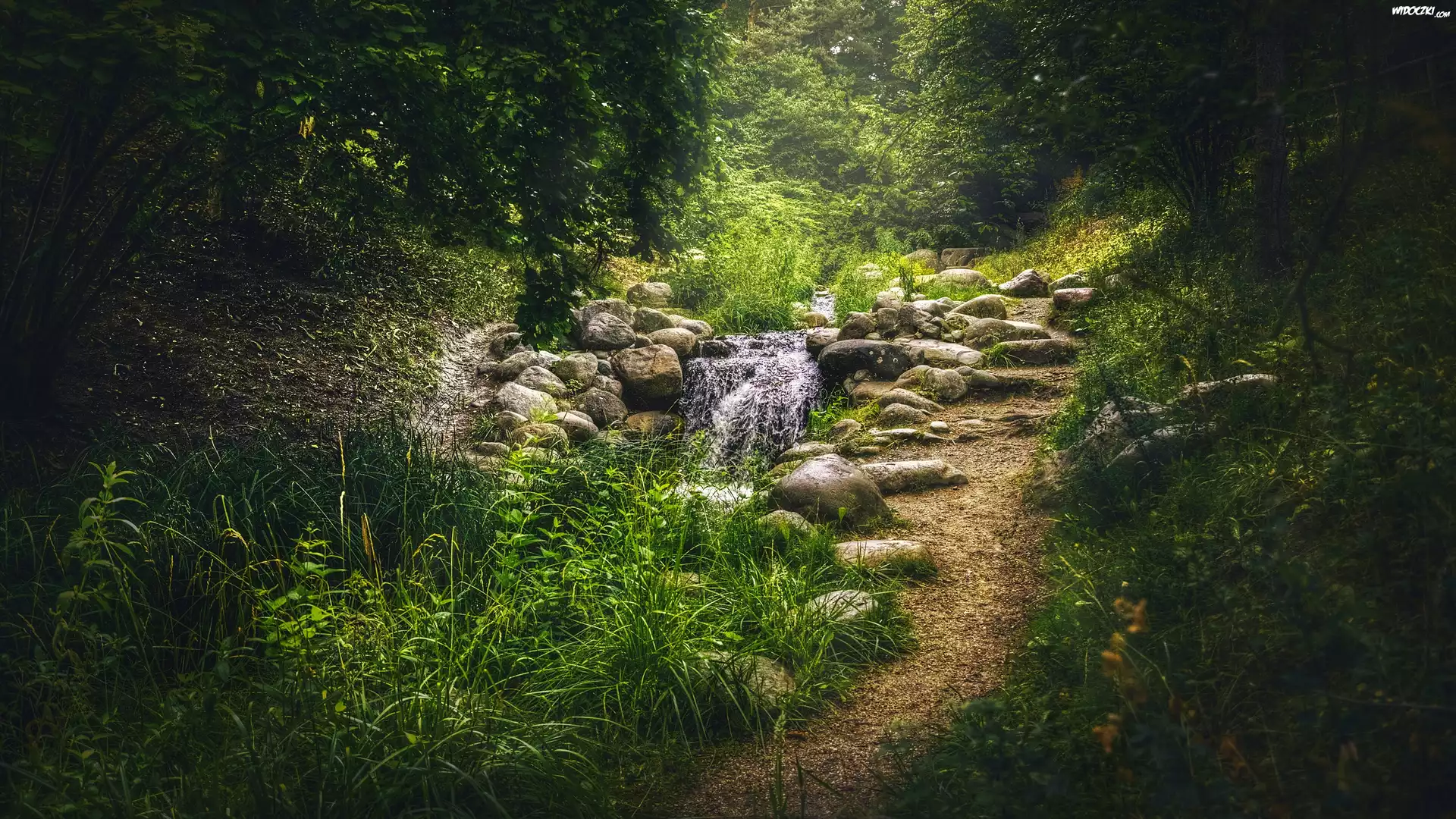 Niemcy, Berlin, Park Britzer Garten, Dróżka, Kamienie, Strumyk, Drzewa