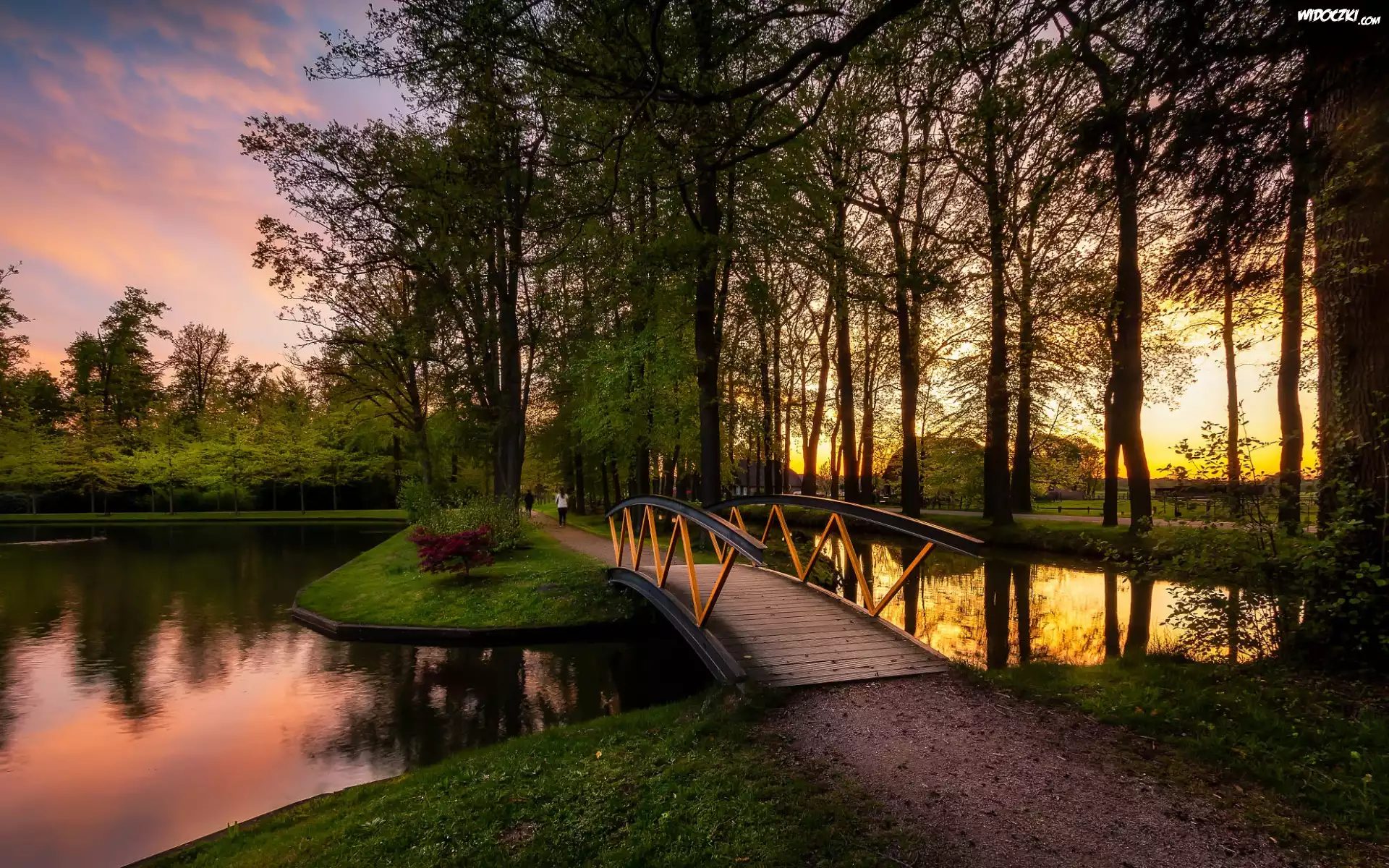 Park, Drzewa, Zachód słońca, Staw, Mostek, Roślinność