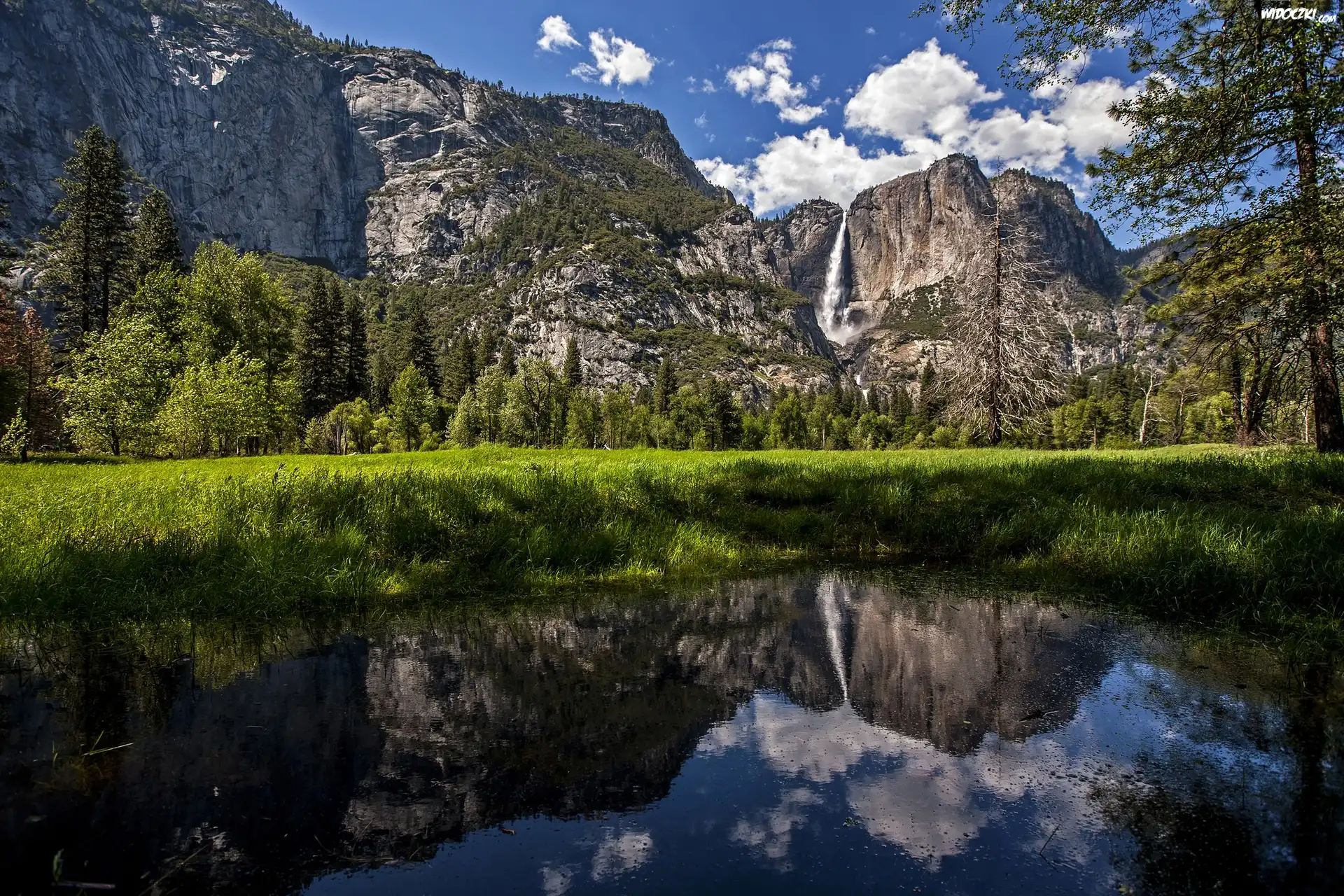 Stany Zjednoczone, Stan Kalifornia, Park Narodowy Yosemite, Góry, Rzeka, Drzewa