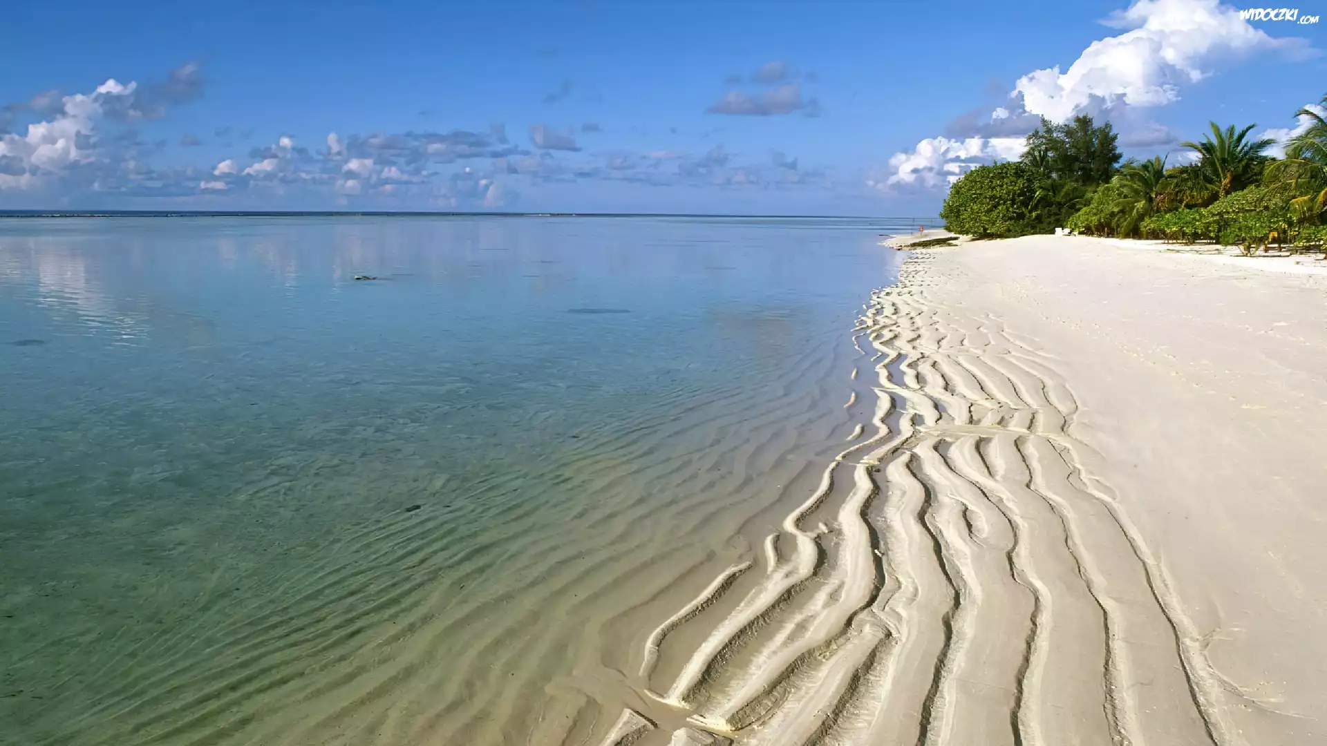 Plaża, Drzewa, Niebo