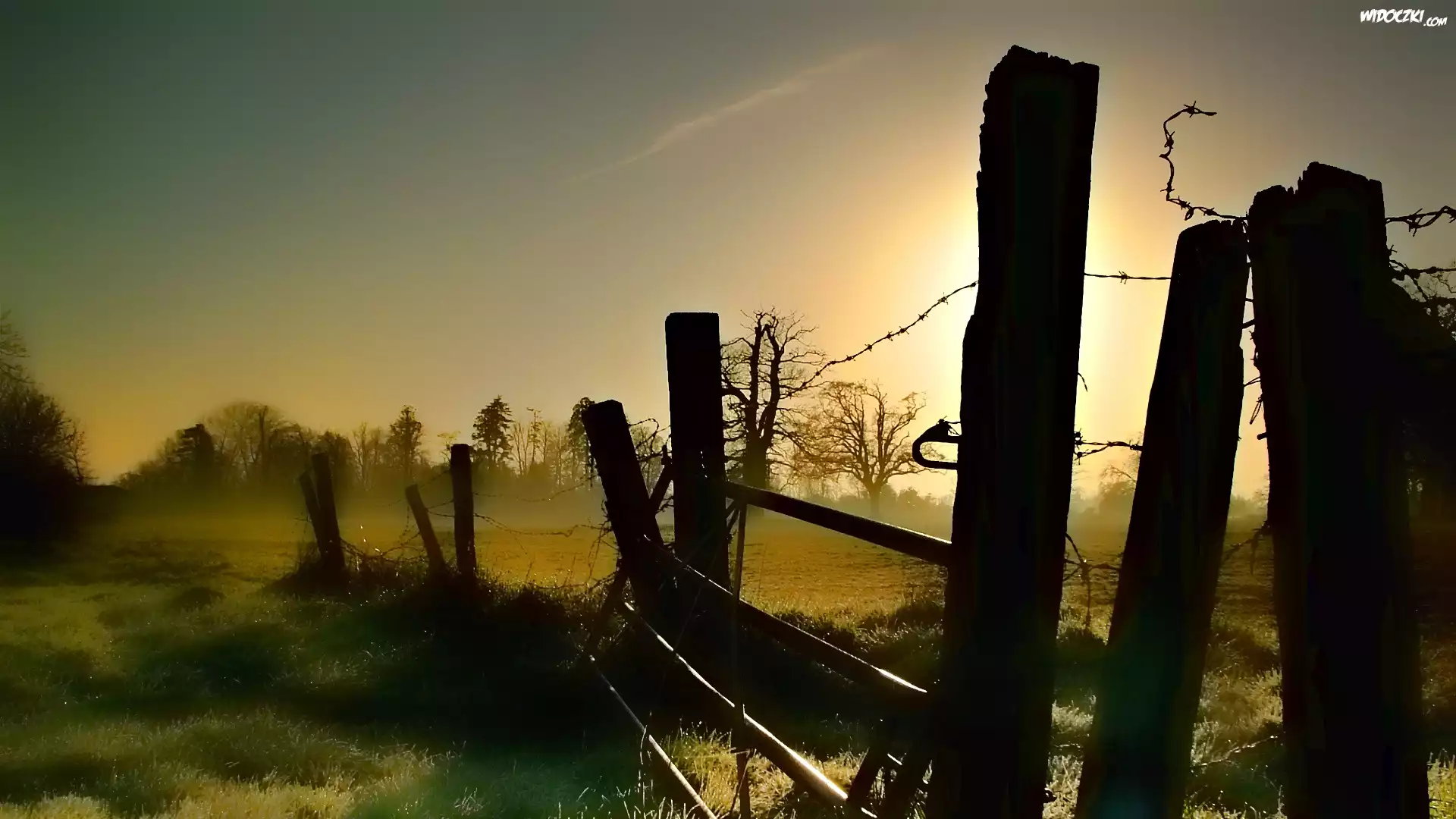 Drzewa, Łąka, Mgła, Płot, Promienie, Słońca