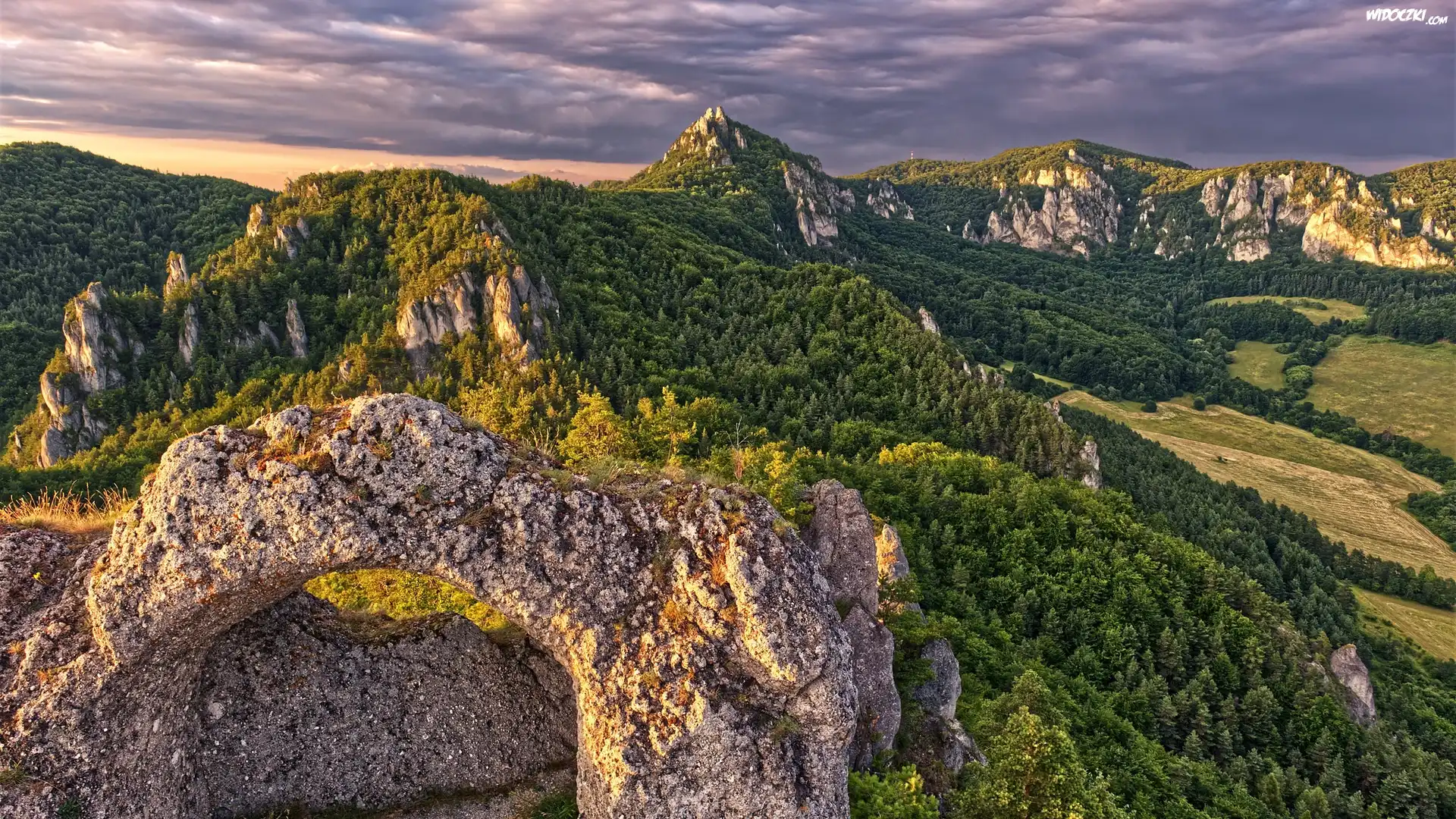 Góry, Skały, Drzewa, Lasy, Ruiny, Zamek, Castle Sulov, Powiat Bytca, Słowacja