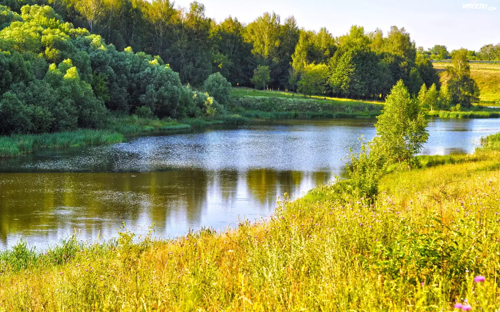 Rzeka, Drzewa, Jesień
