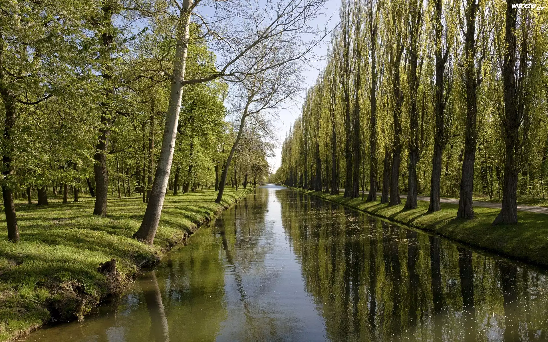 Rzeka, Drzewa, Most