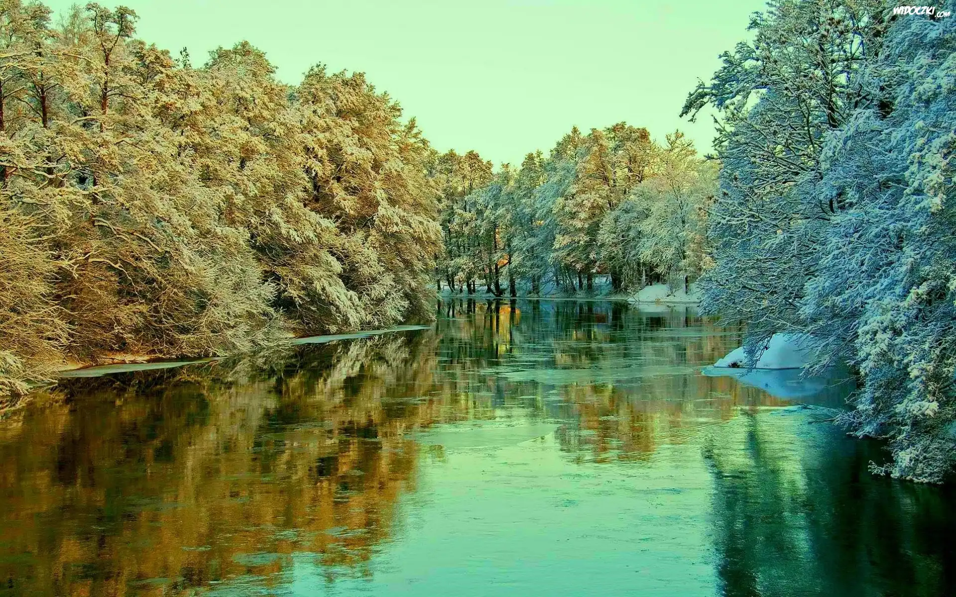Rzeka, Drzewa, Zima