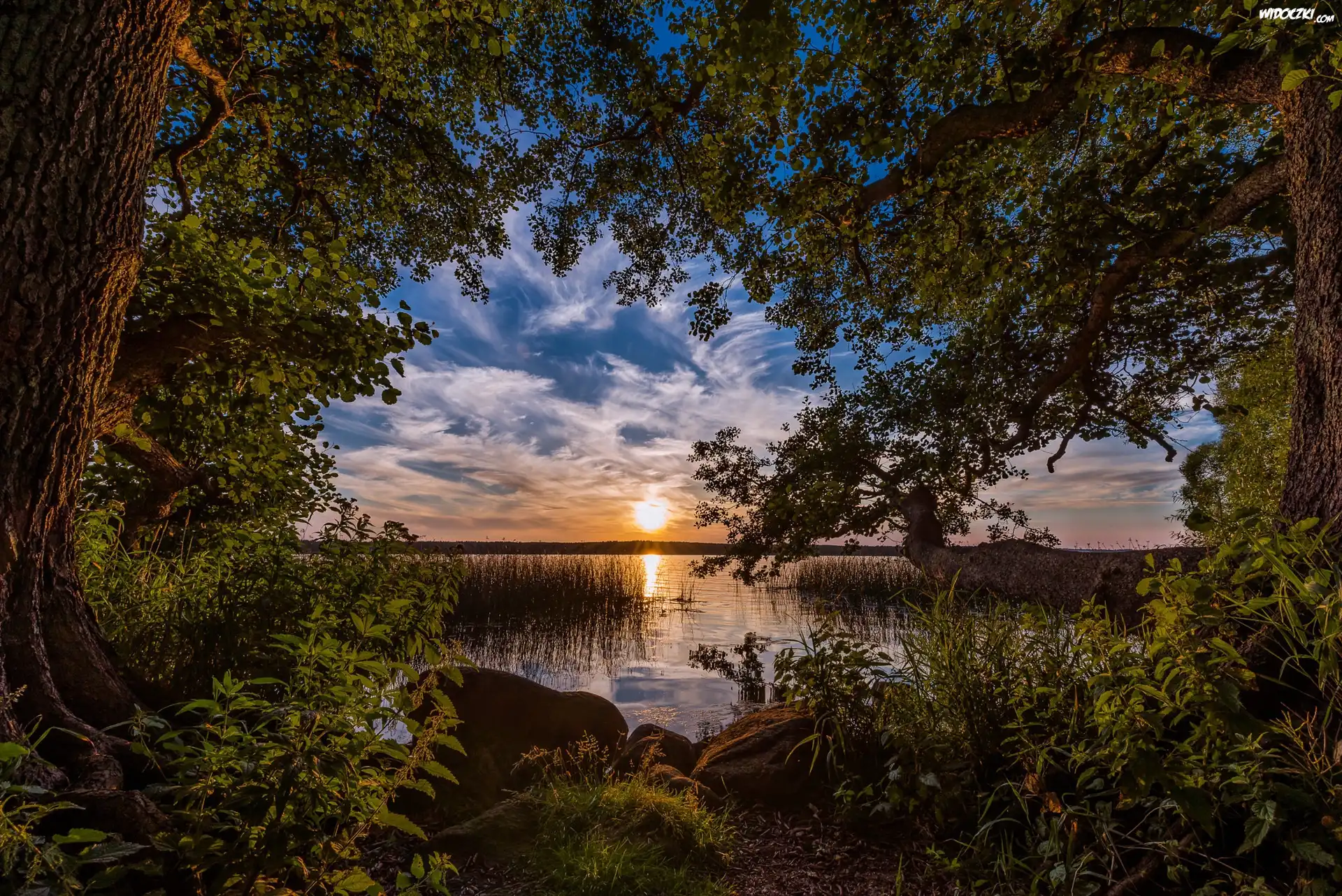 Jezioro, Drzewa, Brzeg, Kamienie, Trawa, Rośliny, Zachód słońca