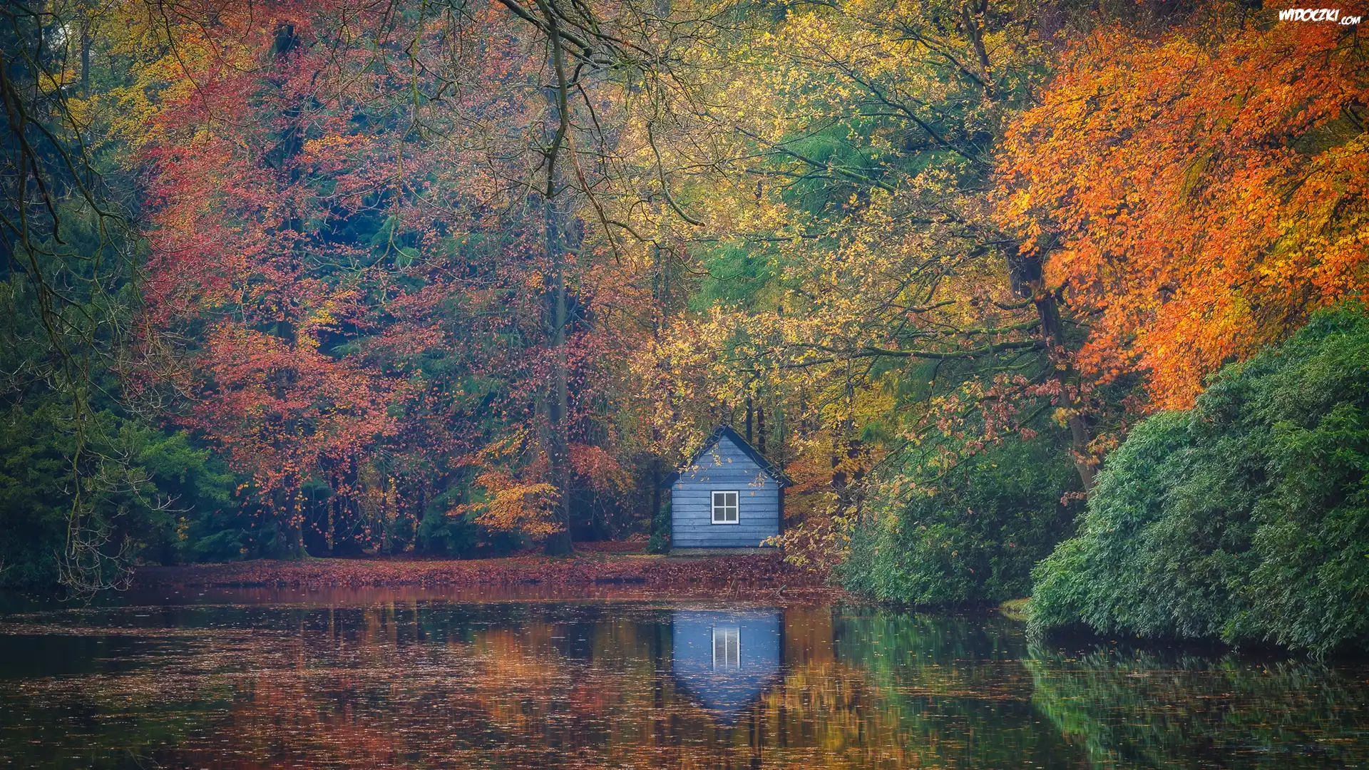 Drzewa, Las, Dom, Staw, Jesień