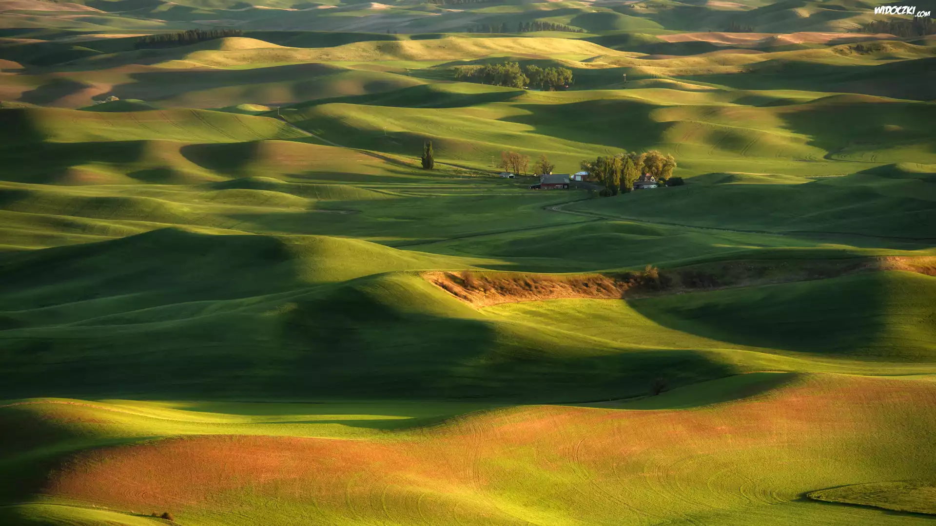 Drzewa, Domy, Pola, Steptoe Butte State Park, Region Palouse, Stan Waszyngton, Stany Zjednoczone