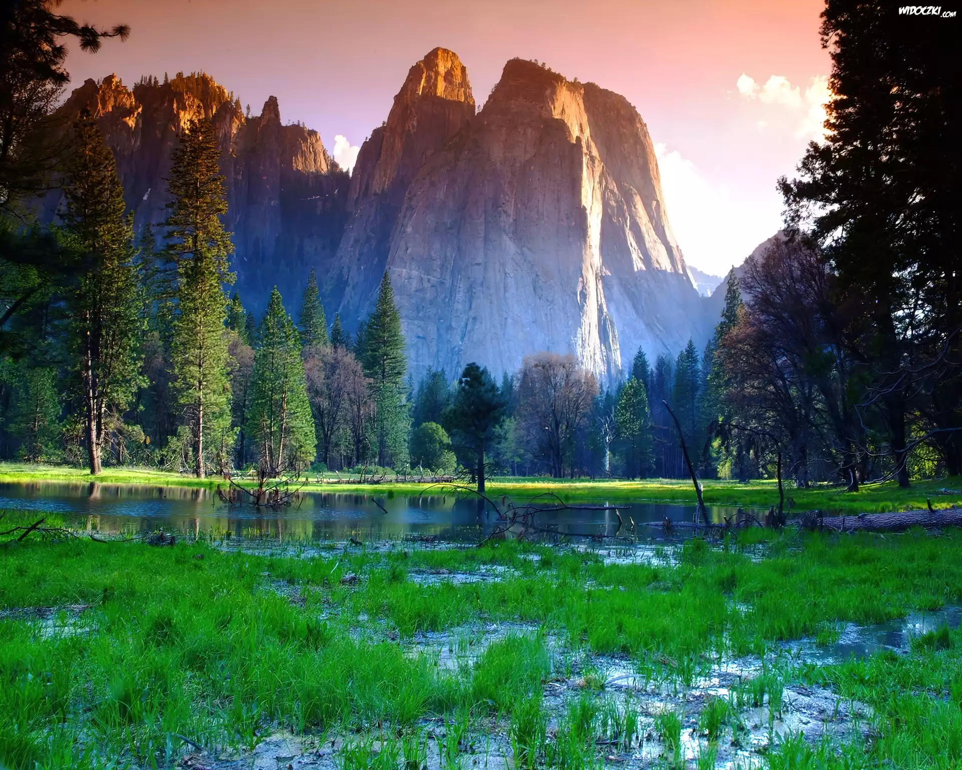 Stany Zjednoczone, Stan Kalifornia, Park Narodowy Yosemite, Łąka, Woda, Góry, Drzewa