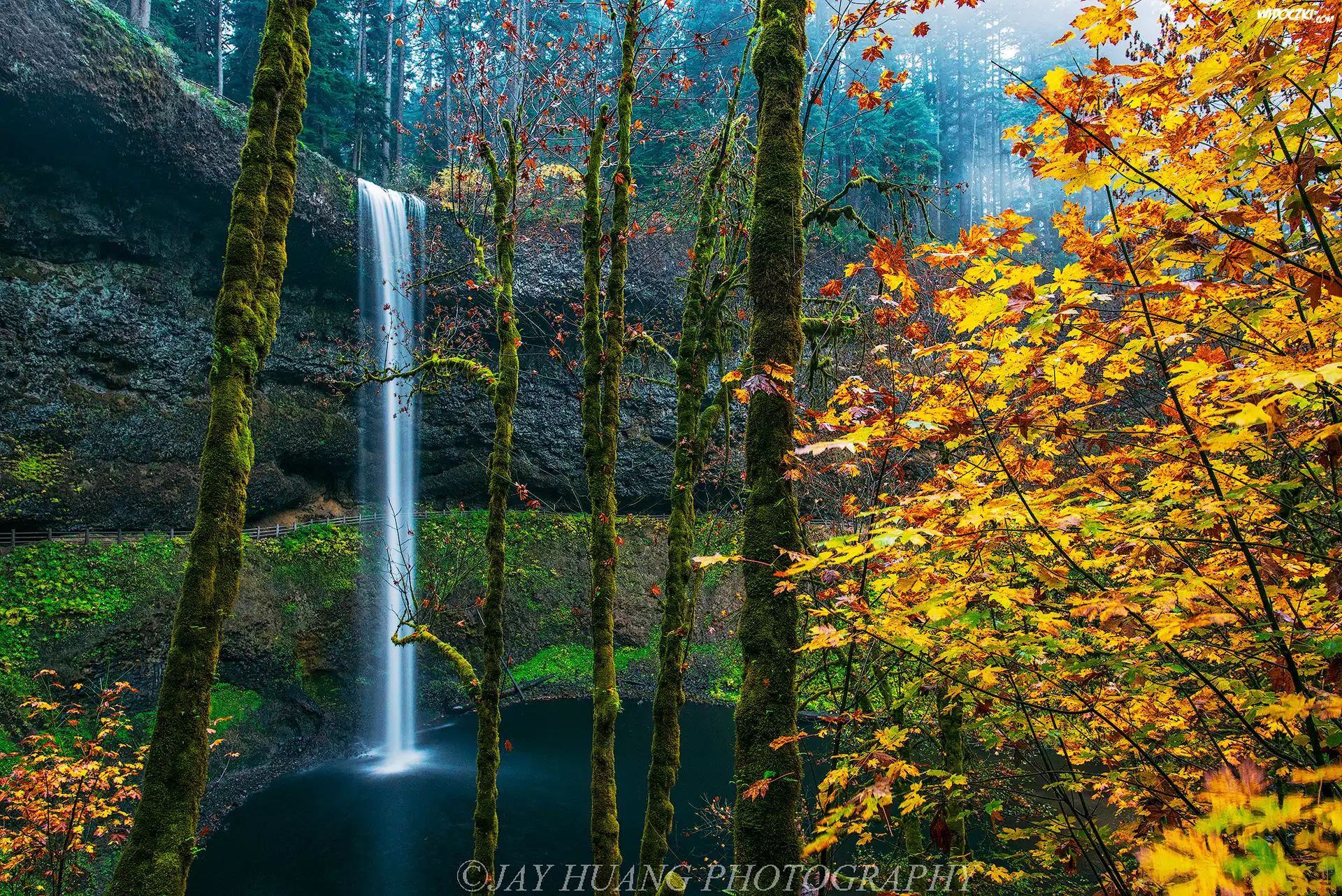 Wodospad South Falls, Las, Drzewa, Jesień, Skała, Park miejski Silver Falls, Oregon, Stany Zjednoczone