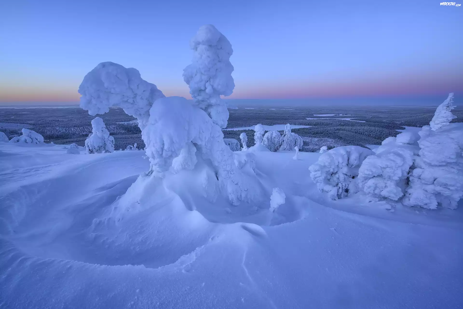 Zima, Drzewa, Mgła, Wschód słońca, Wzgórze, Rezerwat Valtavaara, Laponia, Finlandia