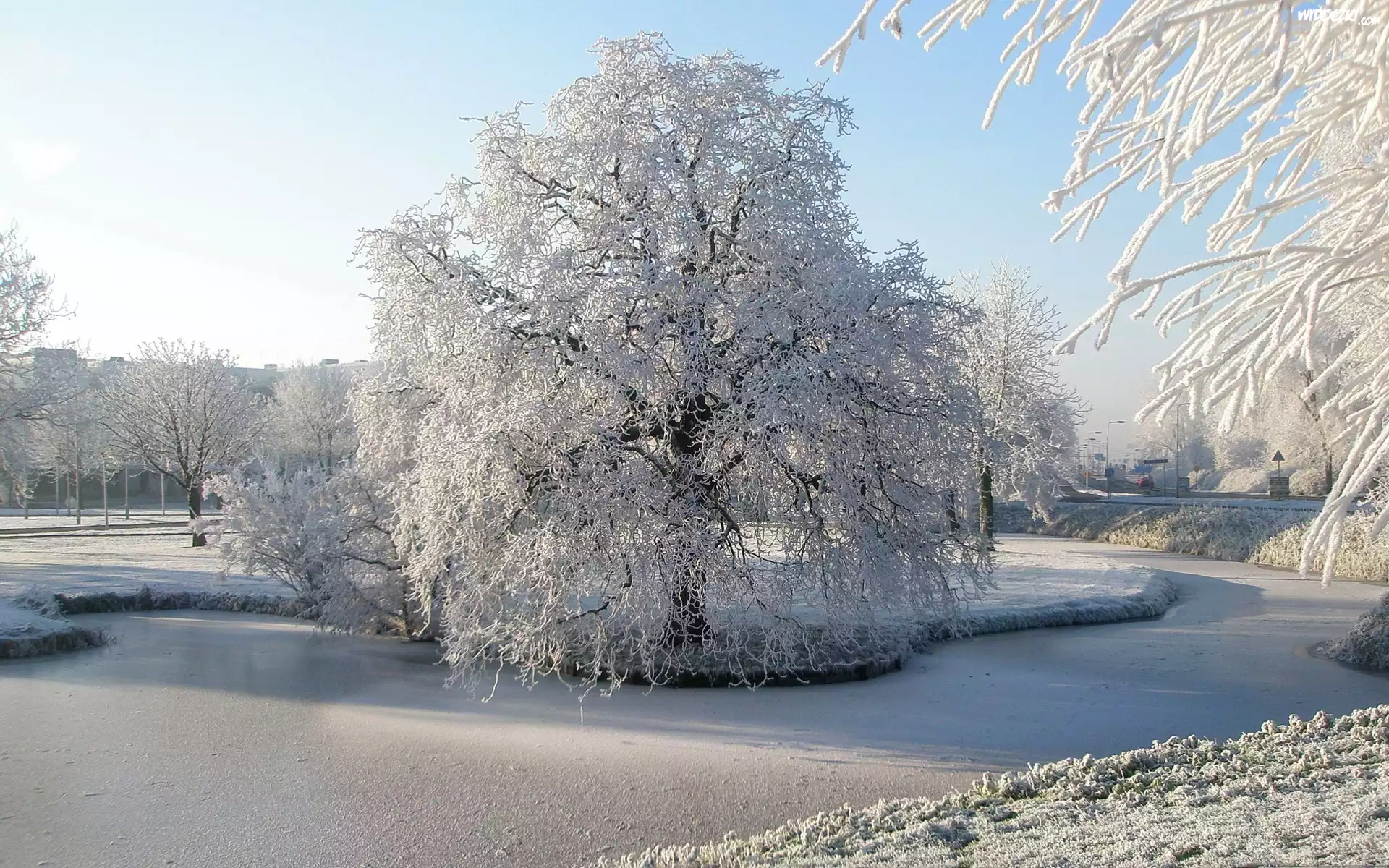 Śnieg, Zaspy, Drzewa, Jezioro