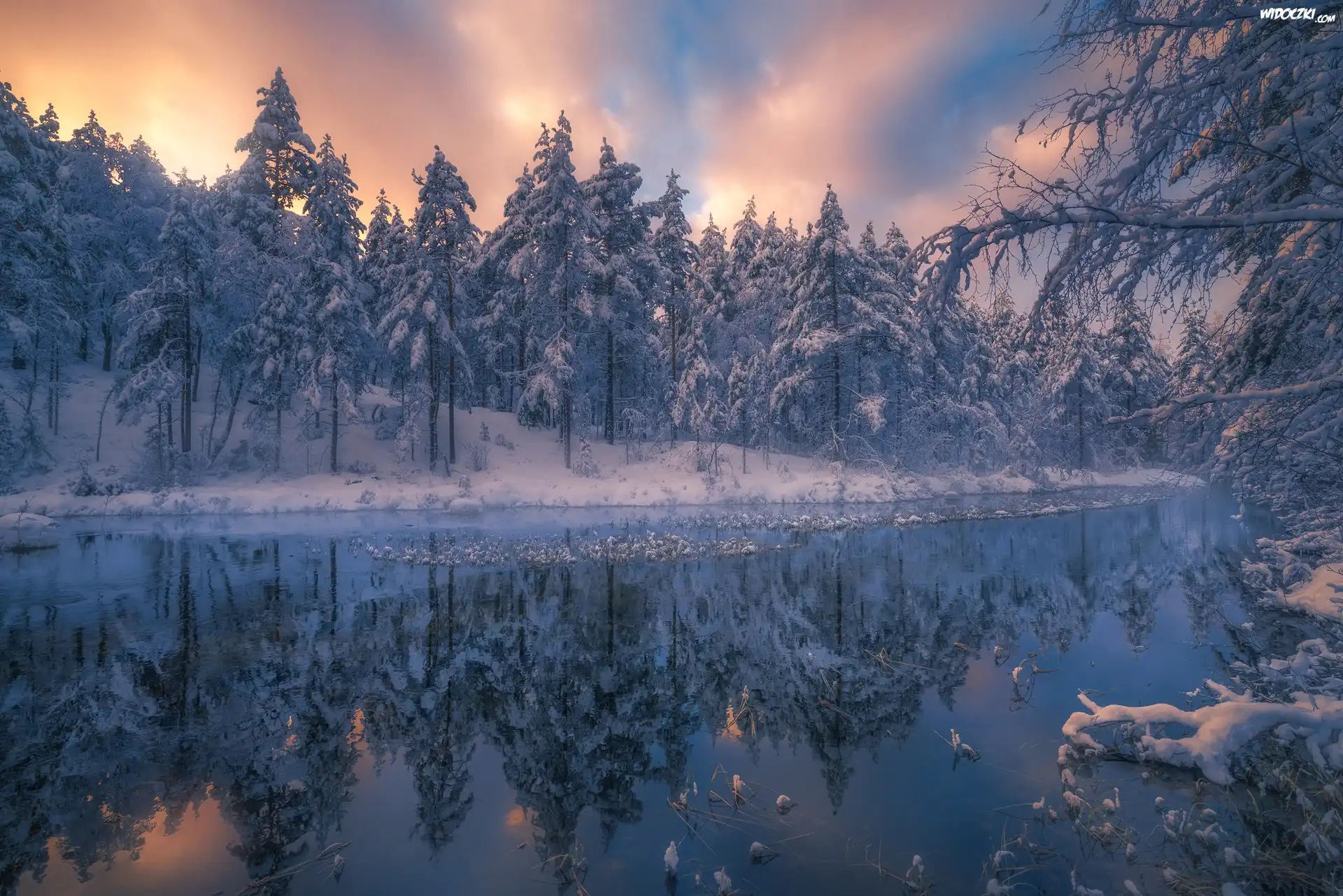 Norwegia, Gmina Ringerike, Śnieg, Zima, Zachód słońca, Jezioro, Las, Drzewa