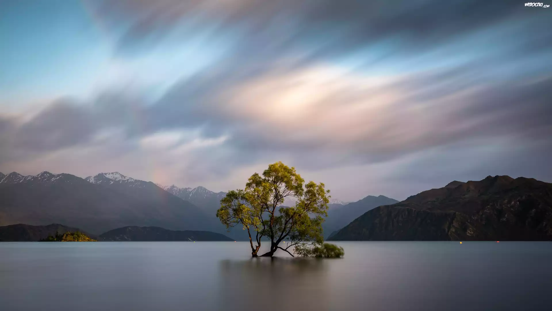 Drzewo, Góry, Jezioro Wanaka, Nowa Zelandia