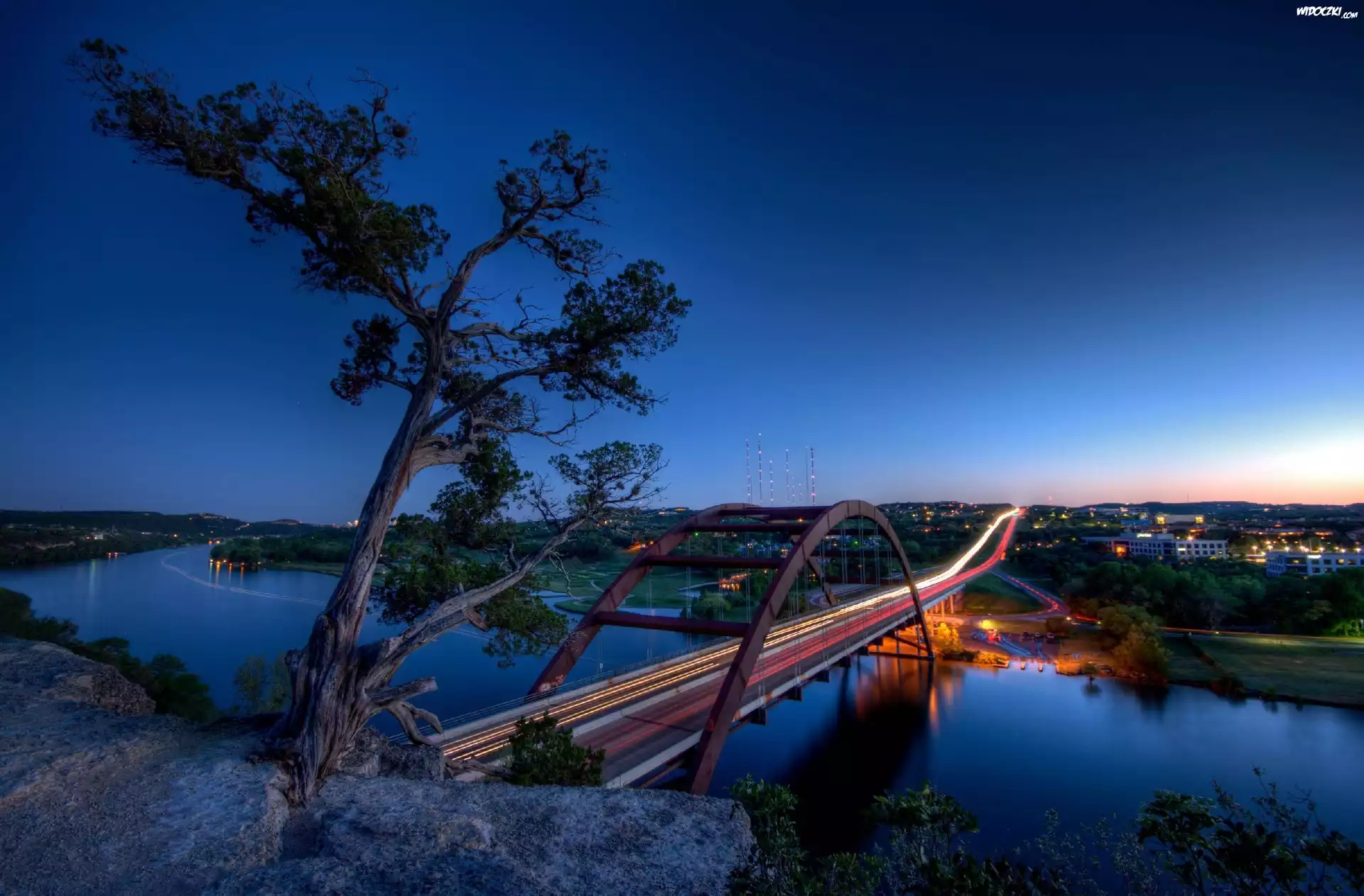 Drzewo, Most, Rzeka, Noc