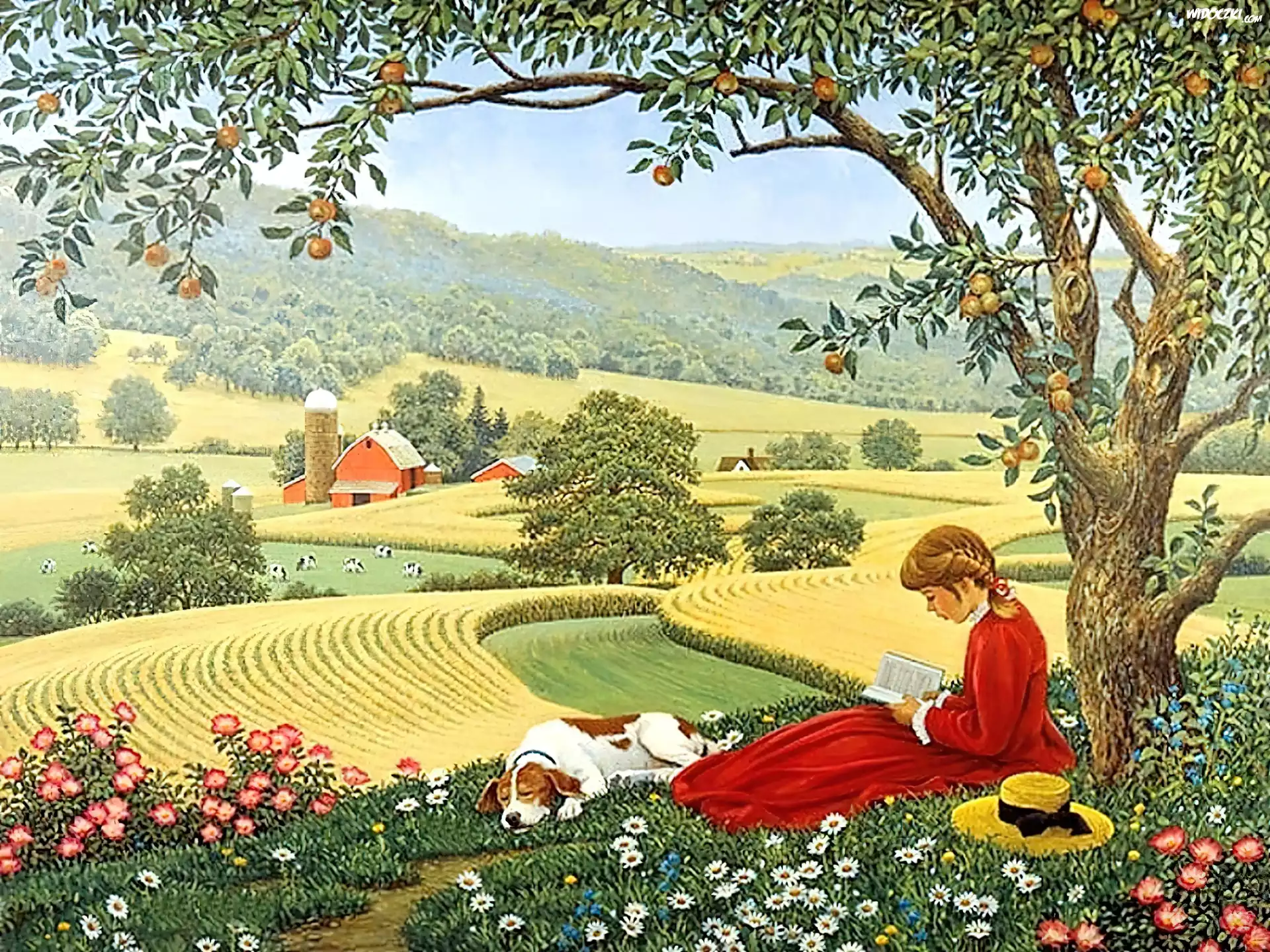 Dziewczyna, Pies, Łąka, Drzewo, Owocowe