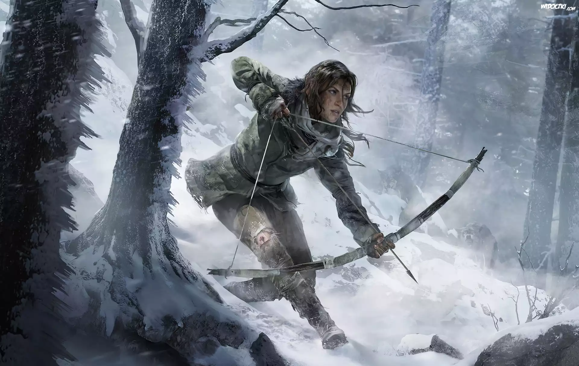 Dziewczyna, Łuk, Zima, Tomb Raider