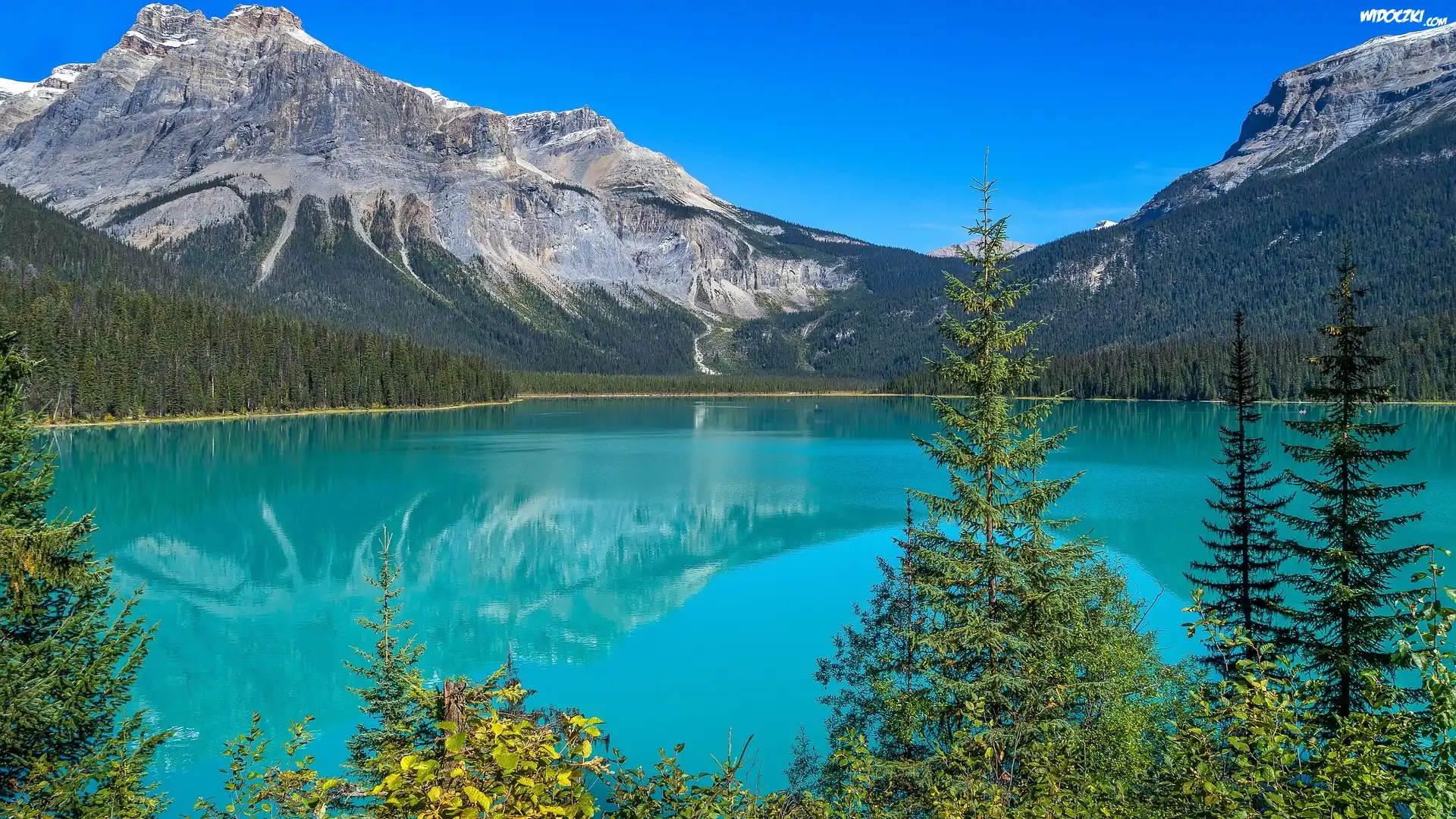 Góry, Jezioro, Emerald Lake, Świerki, Park Narodowy Yoho, Kolumbia Brytyjska, Kanada