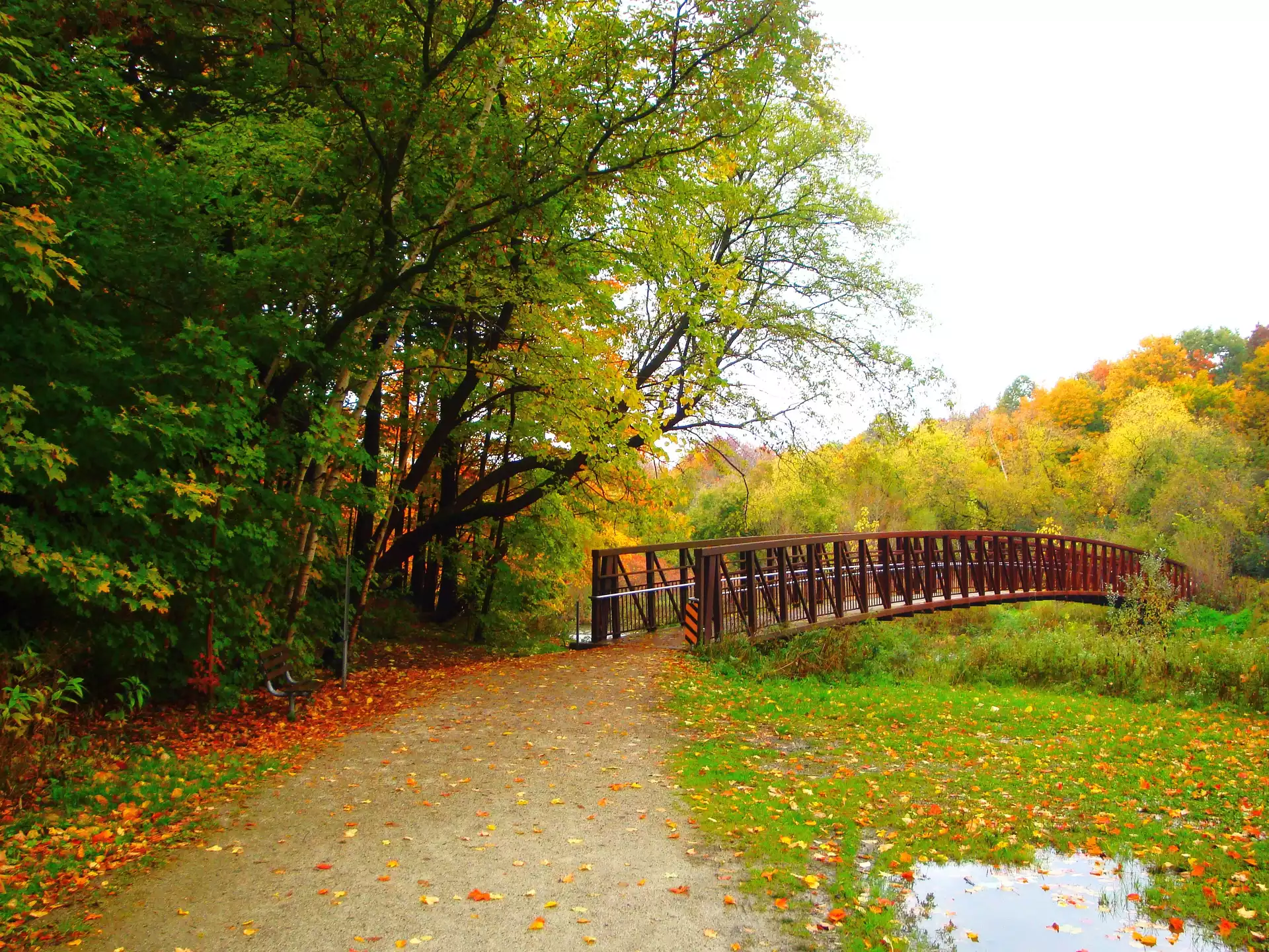 Kanada, Etobicoke, Park, Jesień, Most, Droga, Drzewa