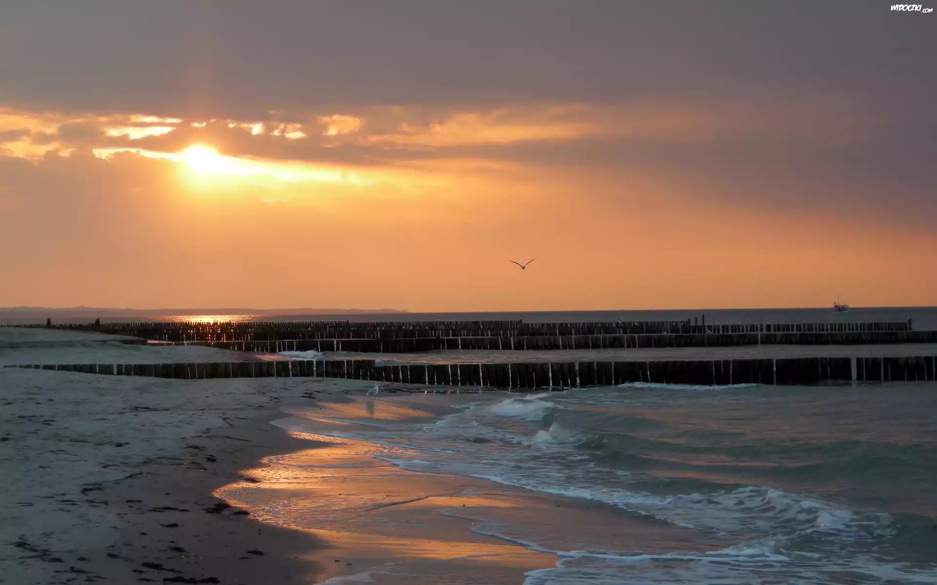 Plaża, Falochrony, Morze, Fale, Statek, Wschód, Słońca