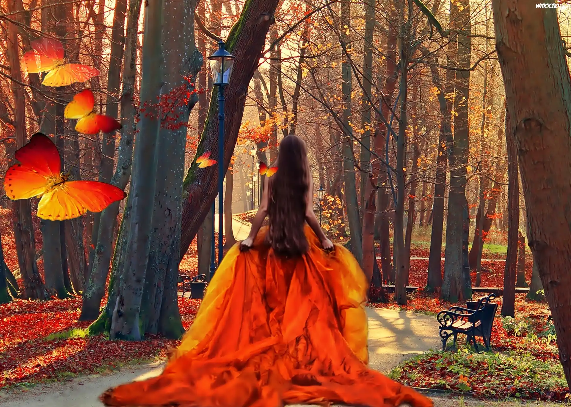 Fantasy, Las, Kobieta, Motyle